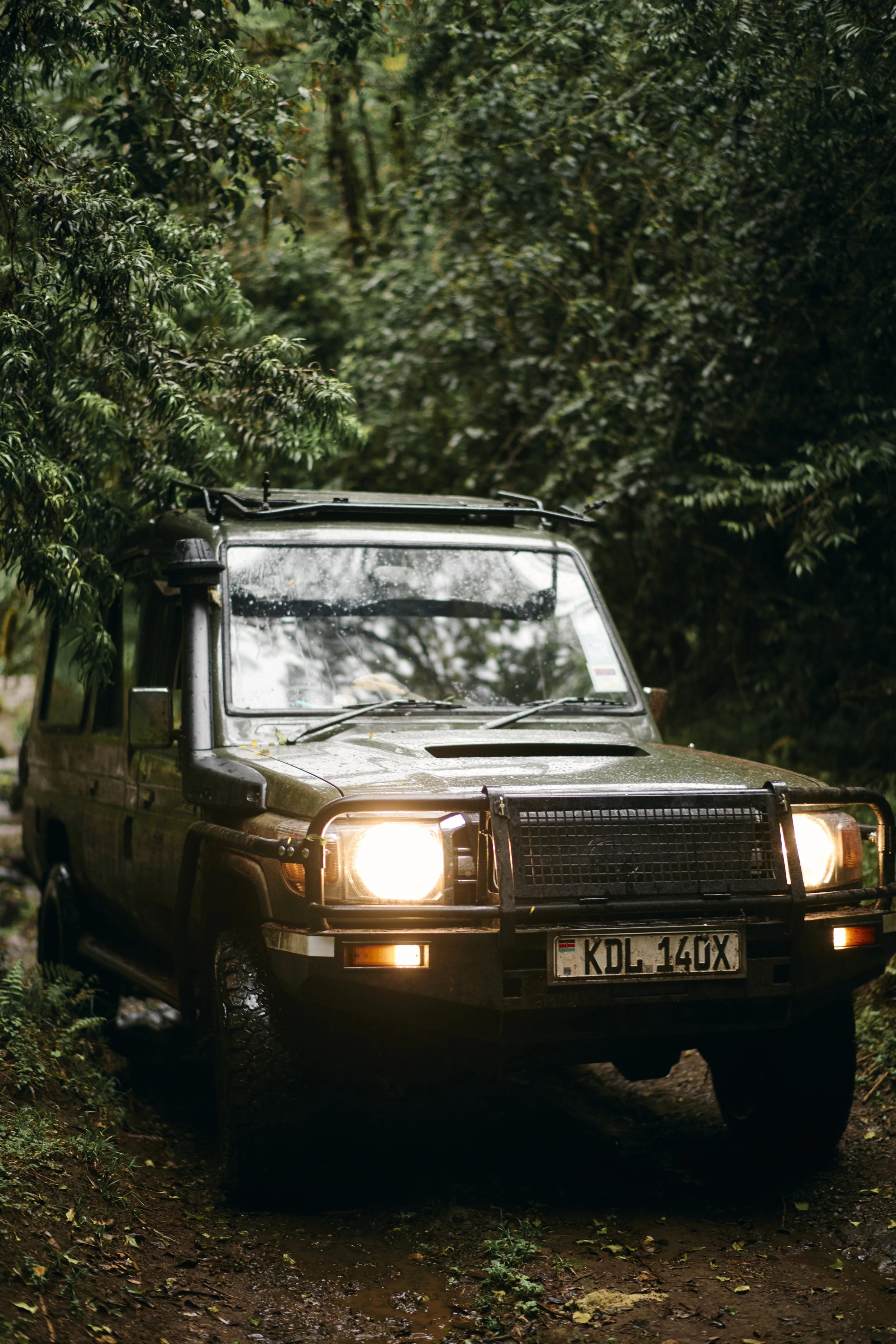 Africa_2025_Jungle_D850 1648.jpg