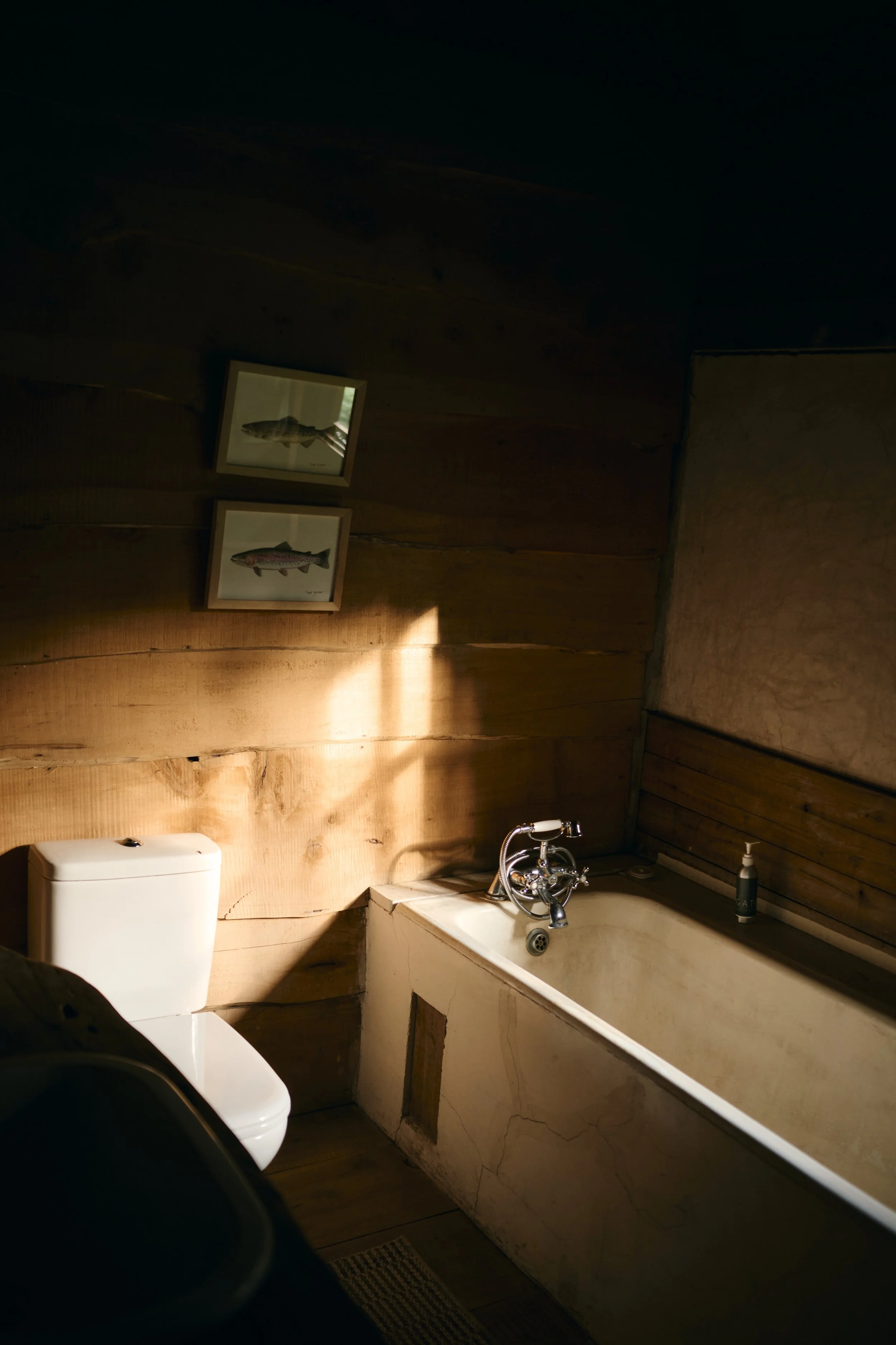 Africa_2025_Jungle_Z8_ 296 1.jpg