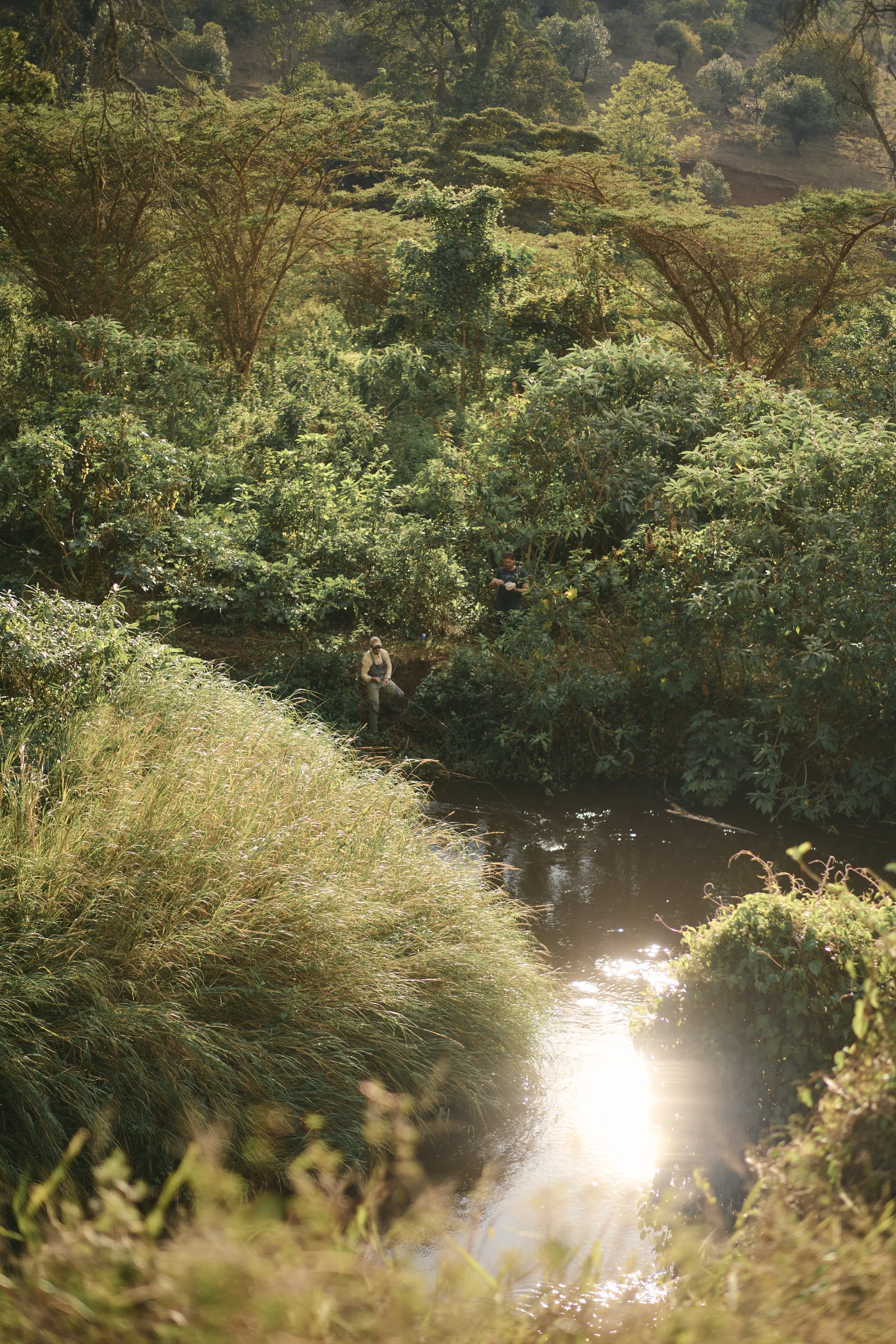 Africa_2025_Jungle_D850 1188.jpg