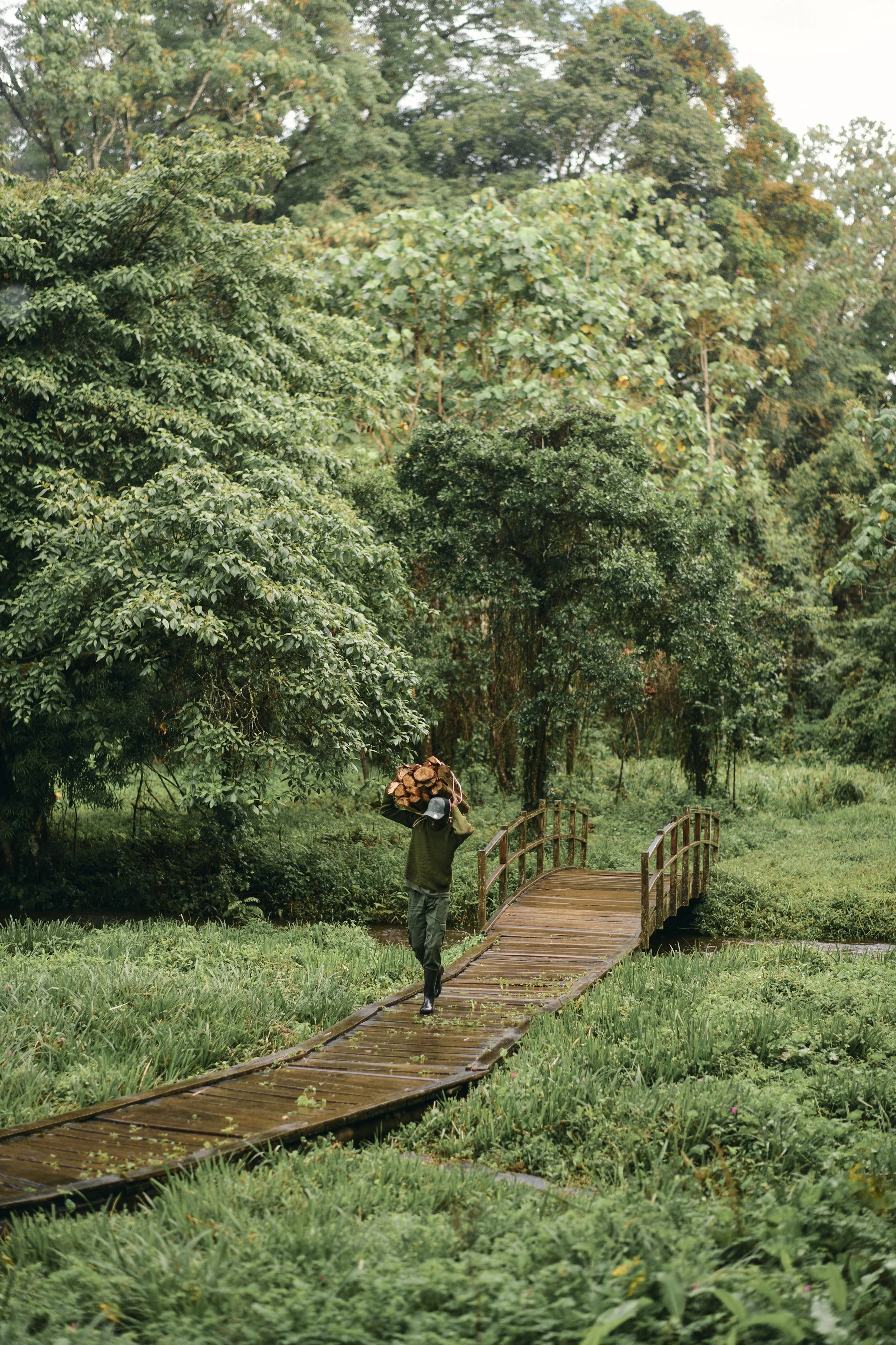 Africa_2025_Jungle_D850 1702.jpg