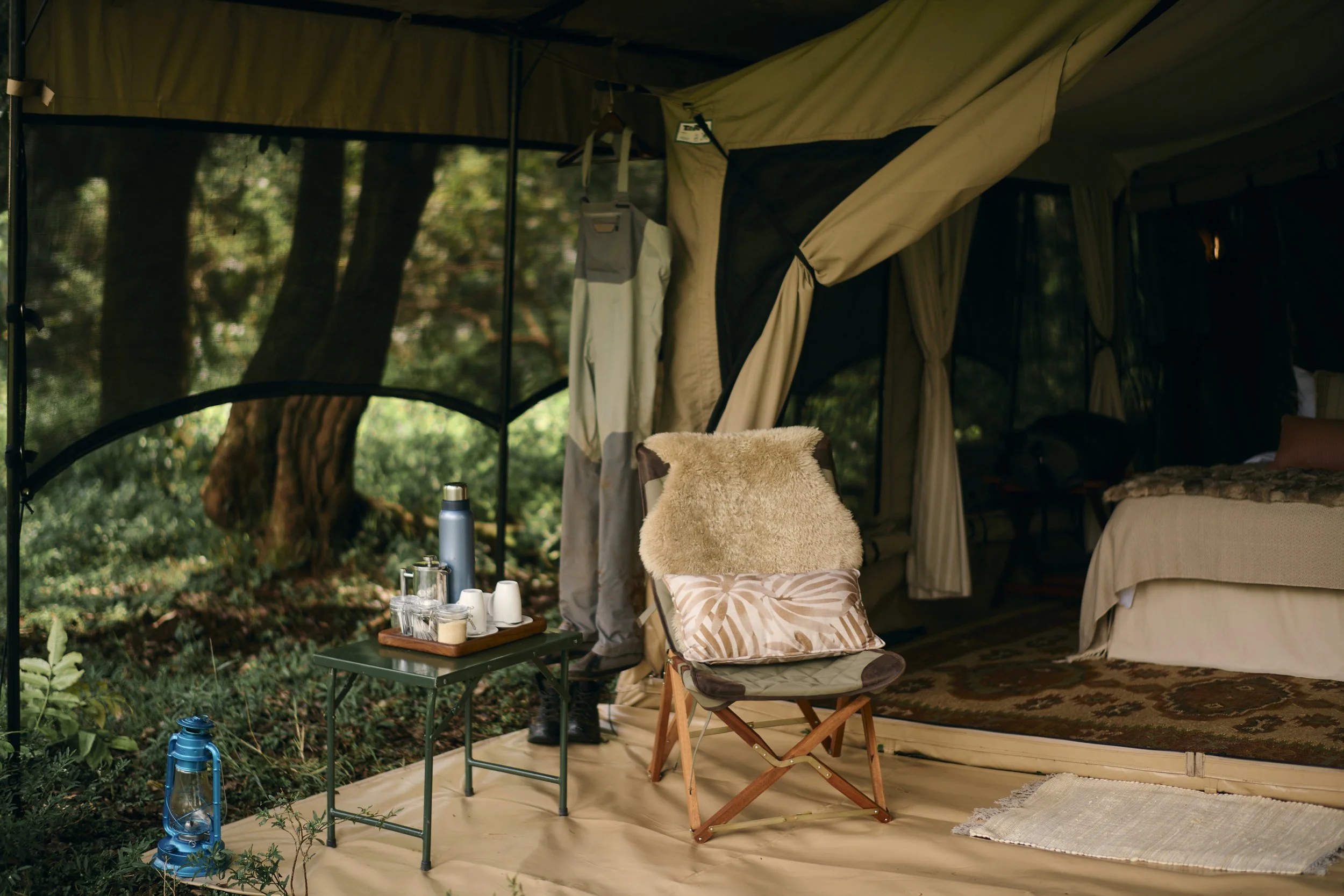 Africa_2025_Jungle_D850 857.jpg