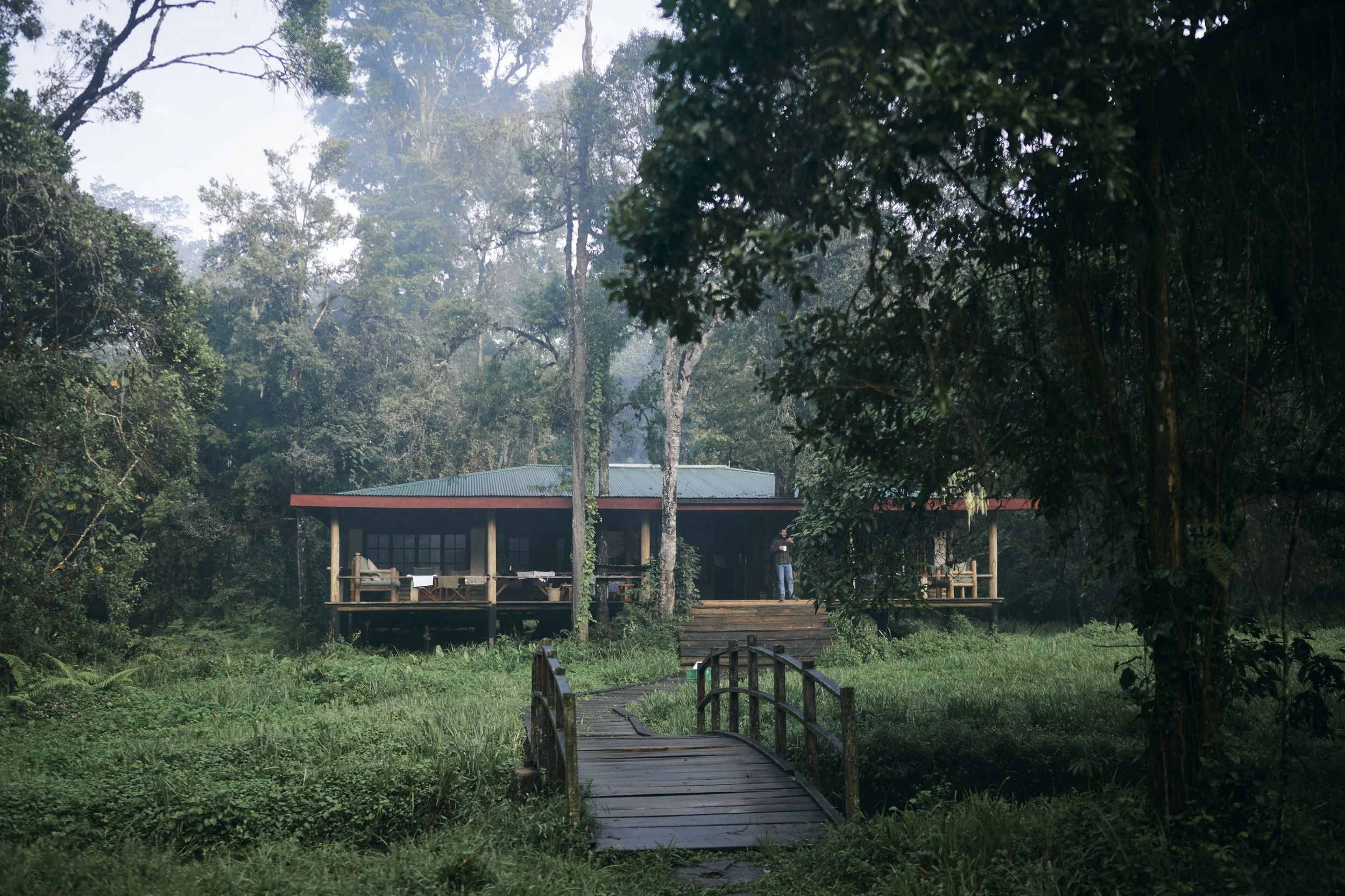 Africa_2025_Jungle_Z8_ 1589.jpg