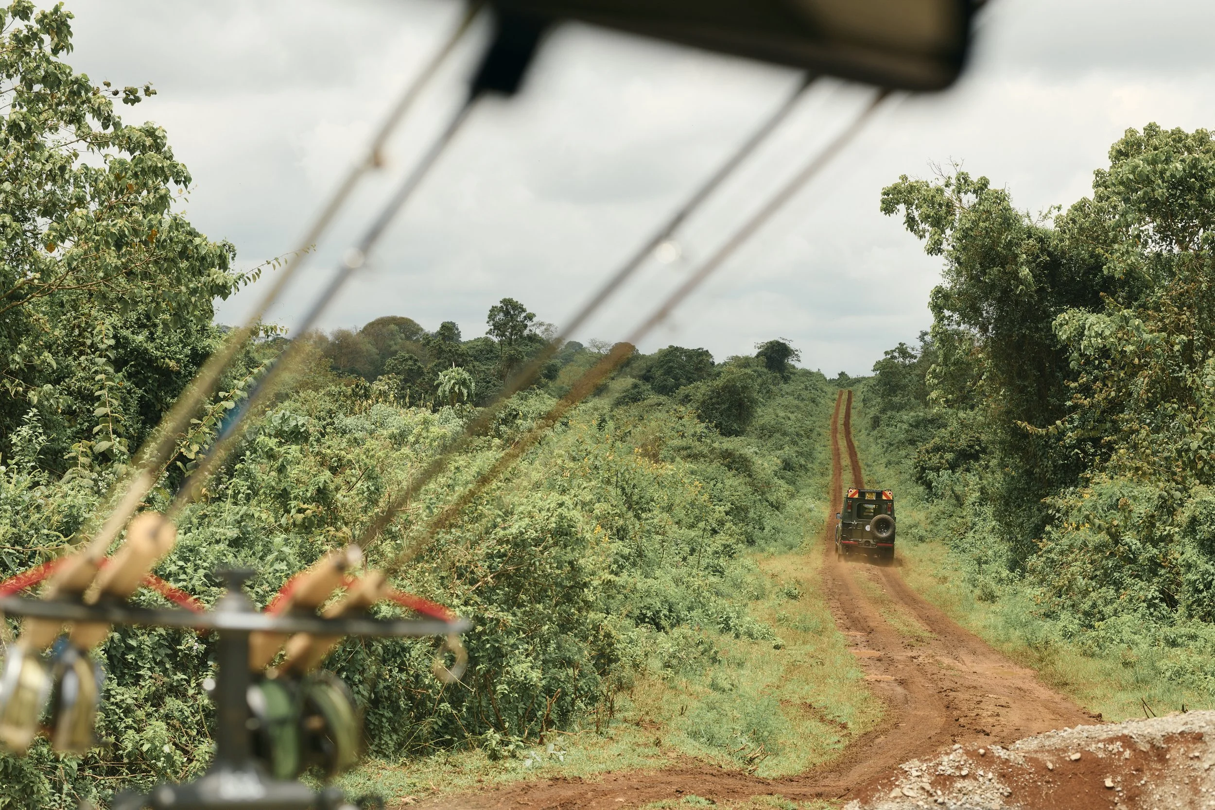 Africa_2025_Jungle_D850 870.jpg