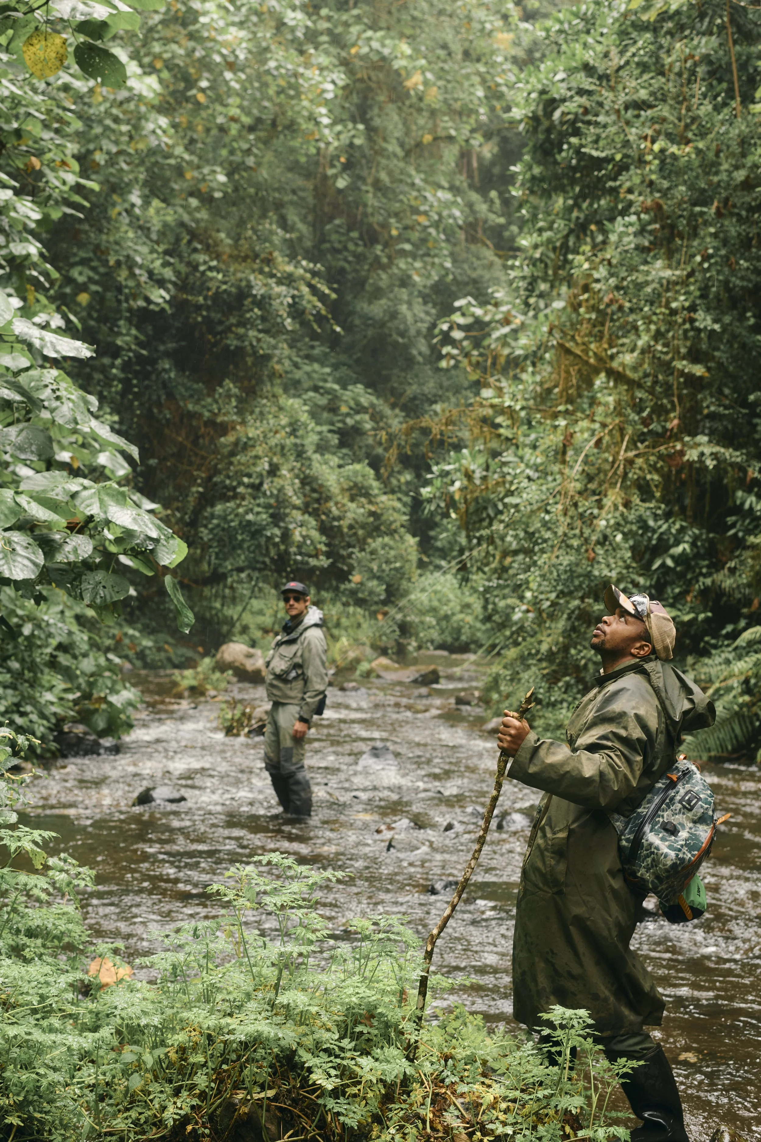 Africa_2025_Jungle_D850 2103.jpg
