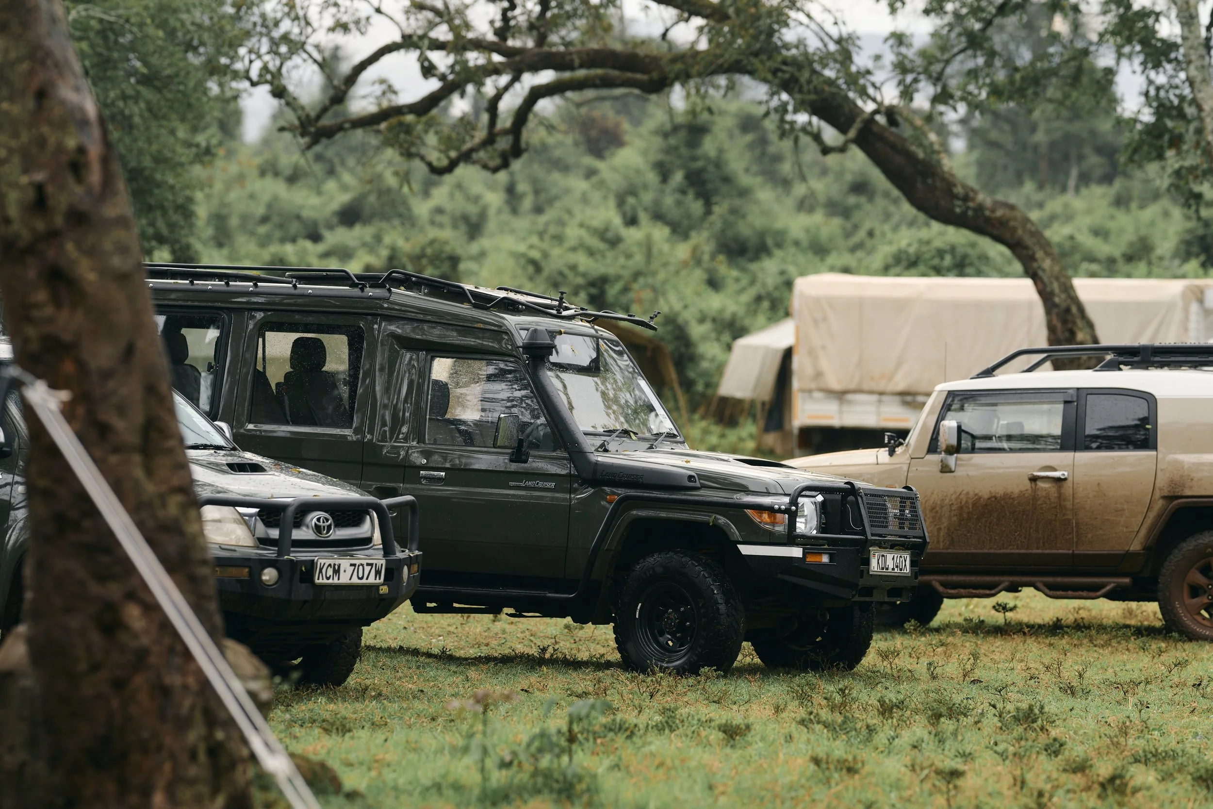 Africa_2025_Jungle_Z8_ 9.jpg