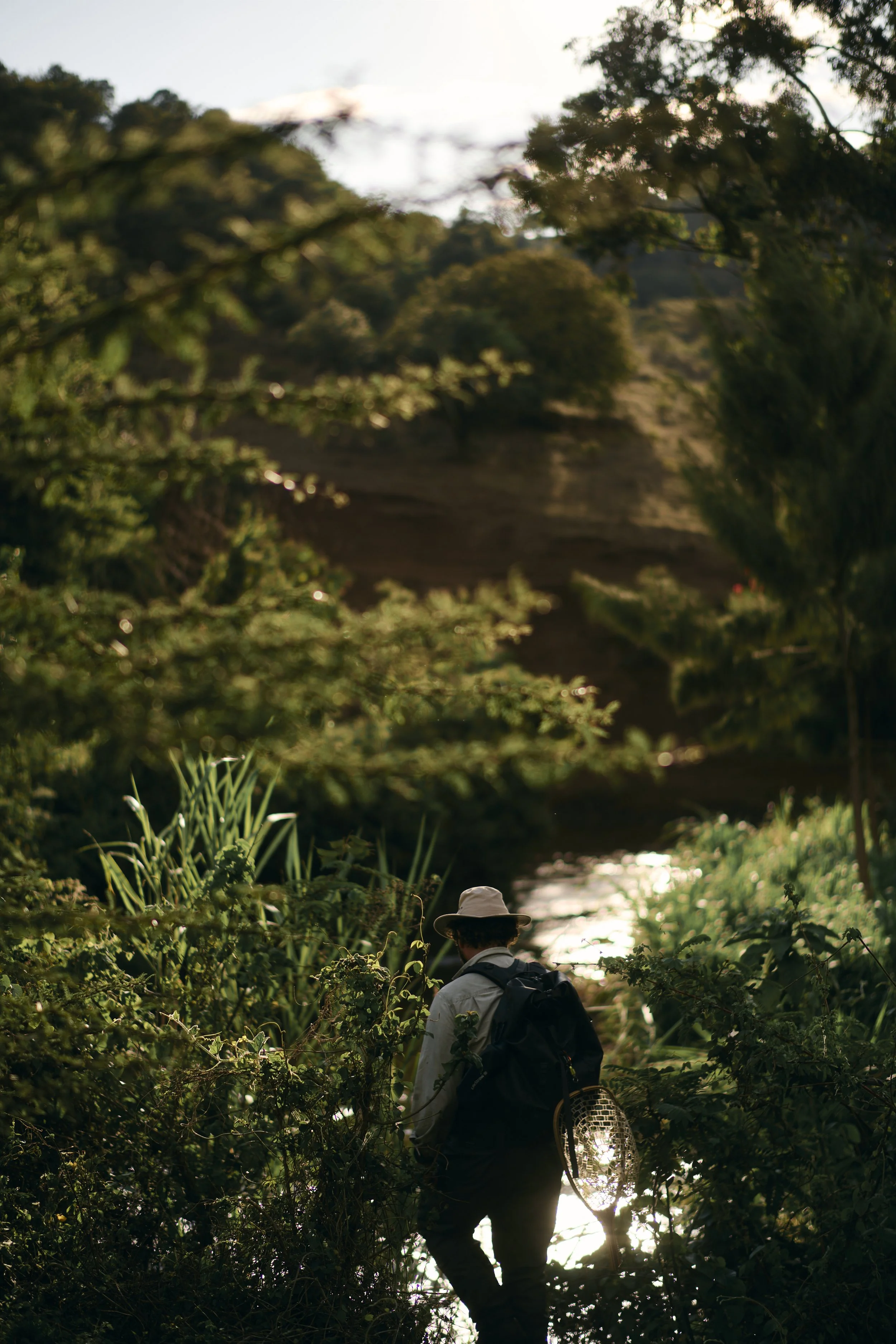 Africa_2025_Jungle_D850 1290.jpg