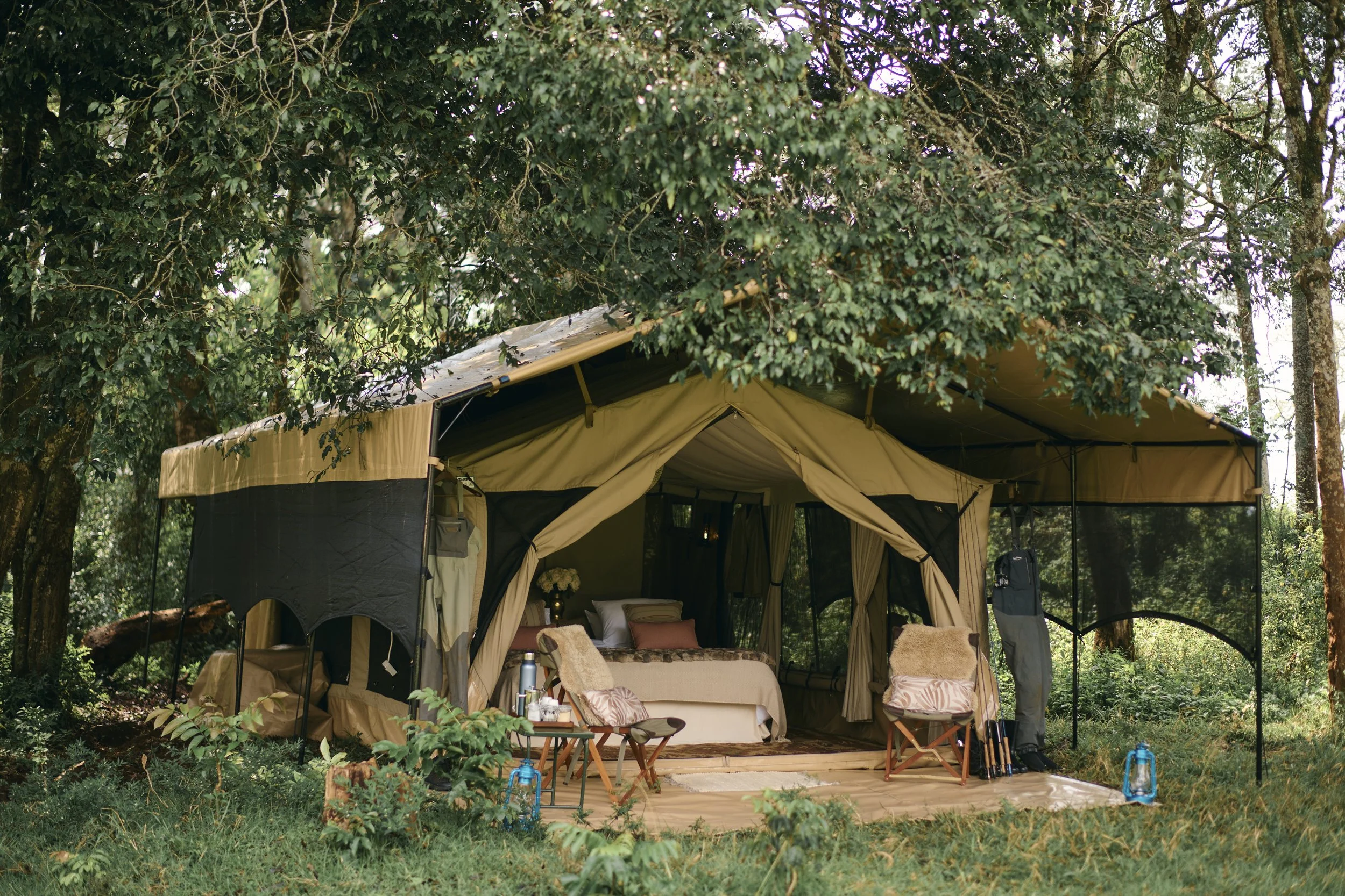 Africa_2025_Jungle_D850 861.jpg