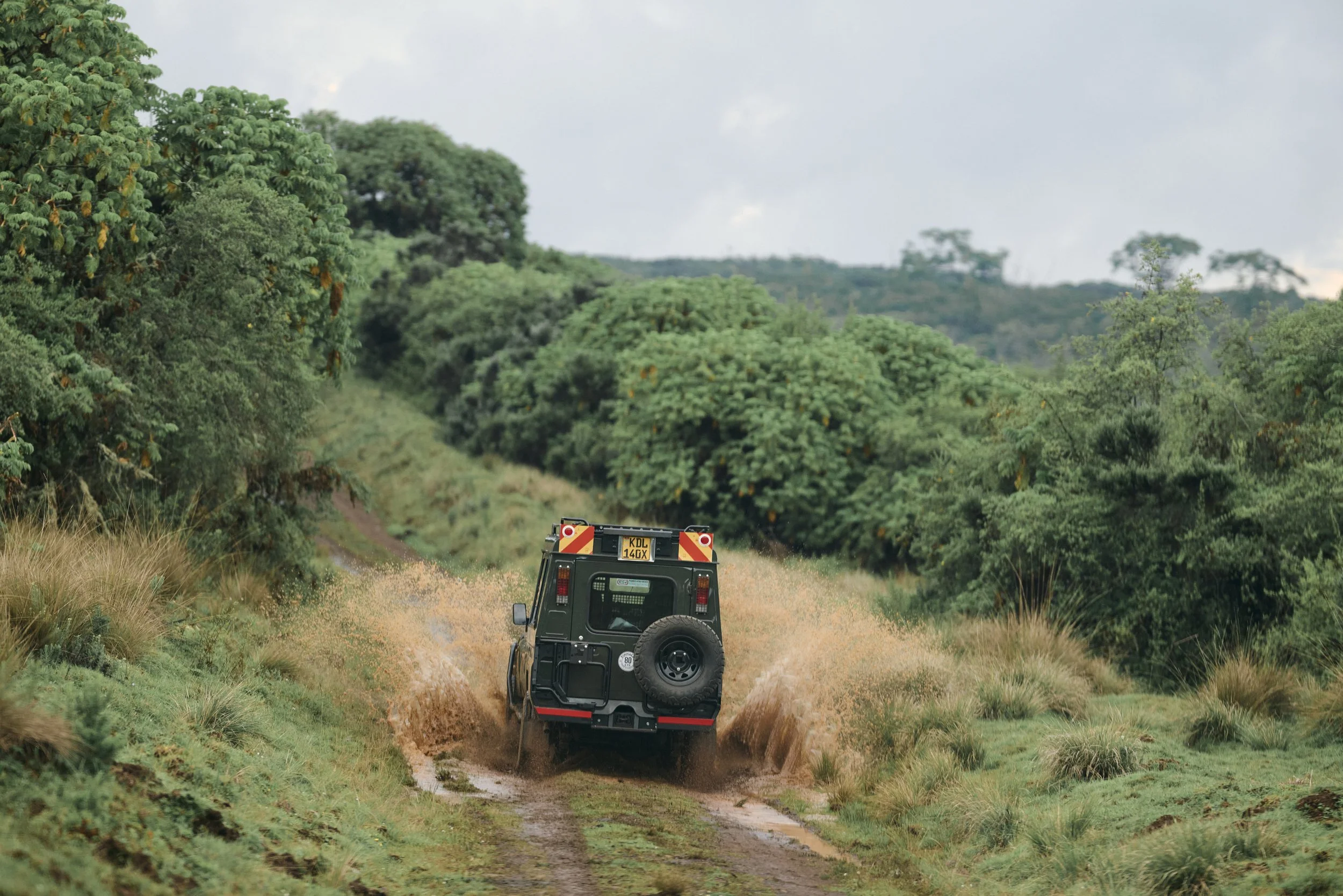 Africa_2025_Jungle_Z8_ 219.jpg