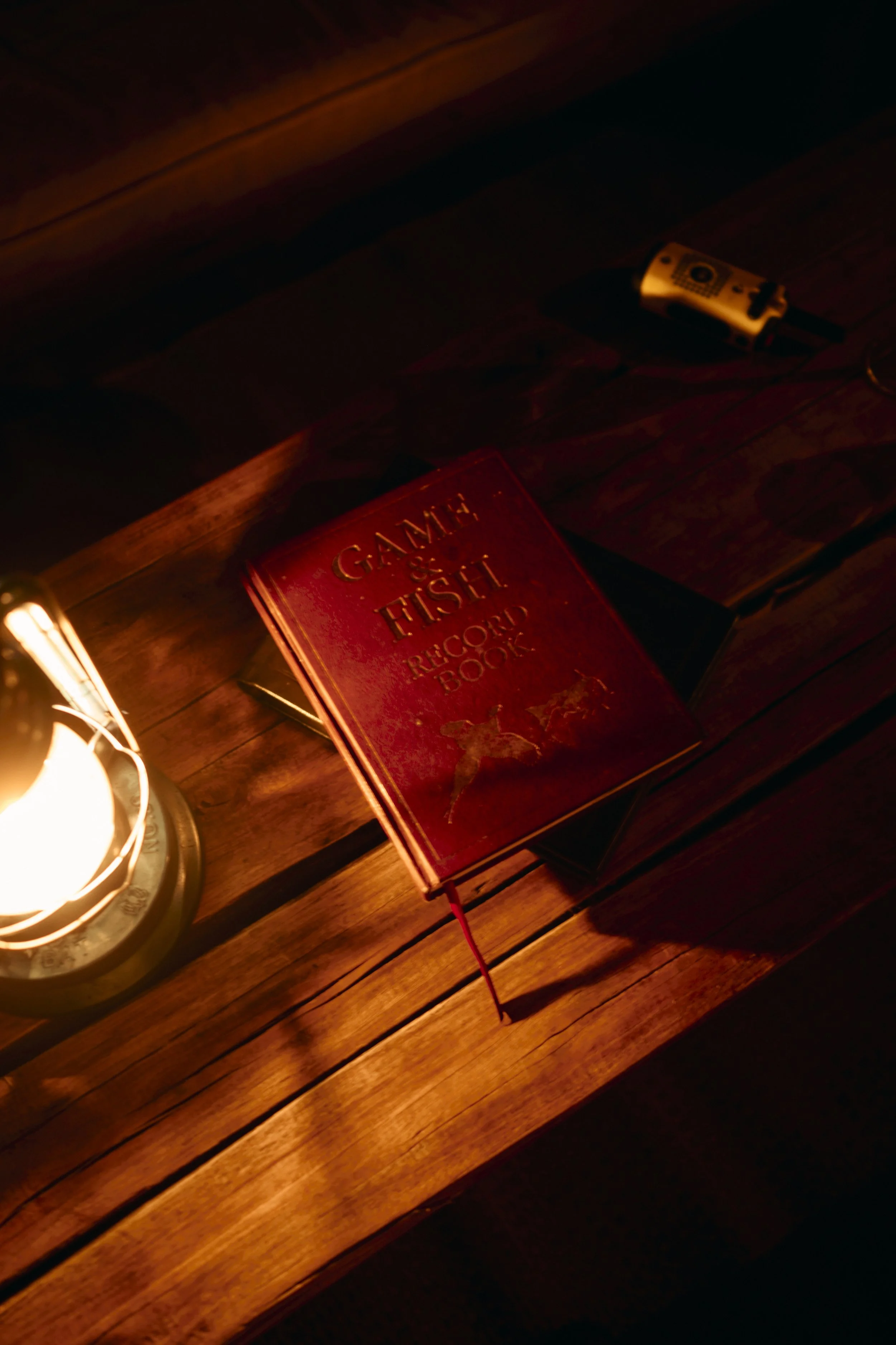 Africa_2025_Jungle_Z8_ 294.jpg