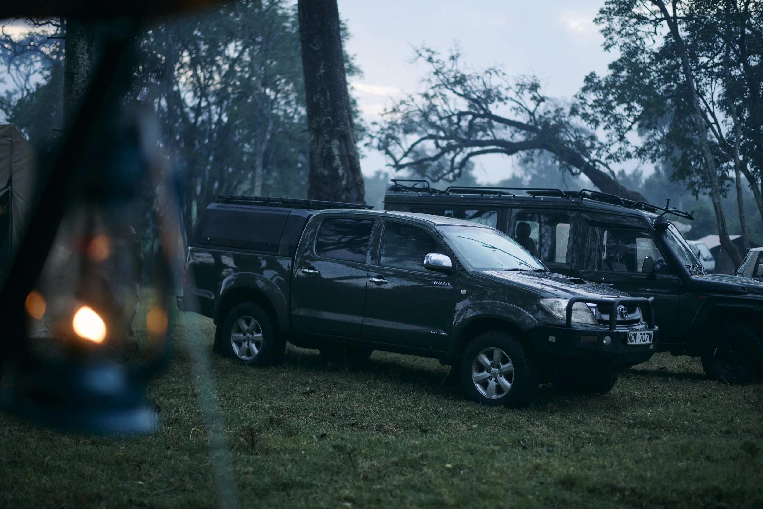 Africa_2025_Jungle_D850 94.jpg