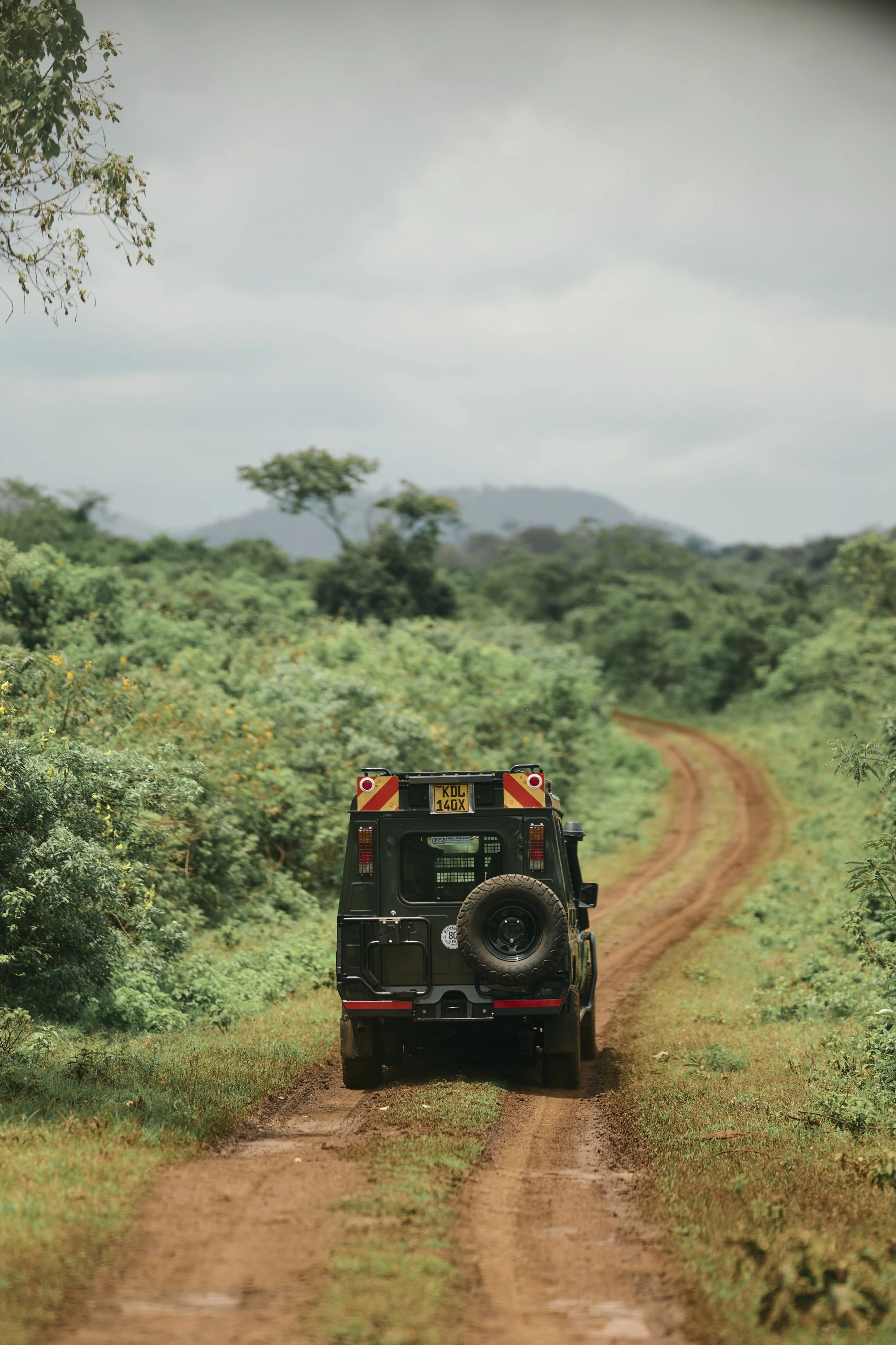 Africa_2025_Jungle_Z8_ 170.jpg