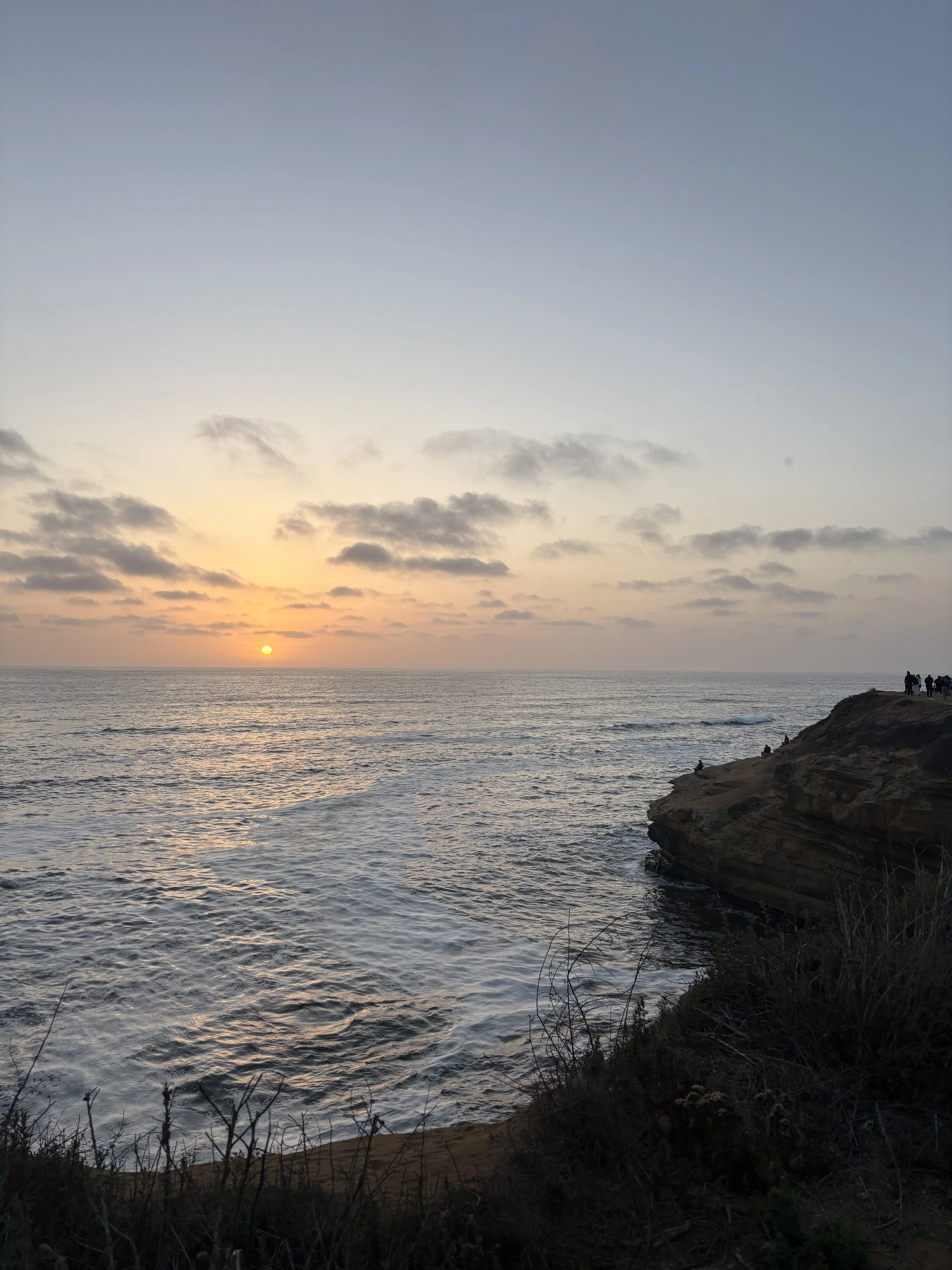 IMG_8484.jpeg