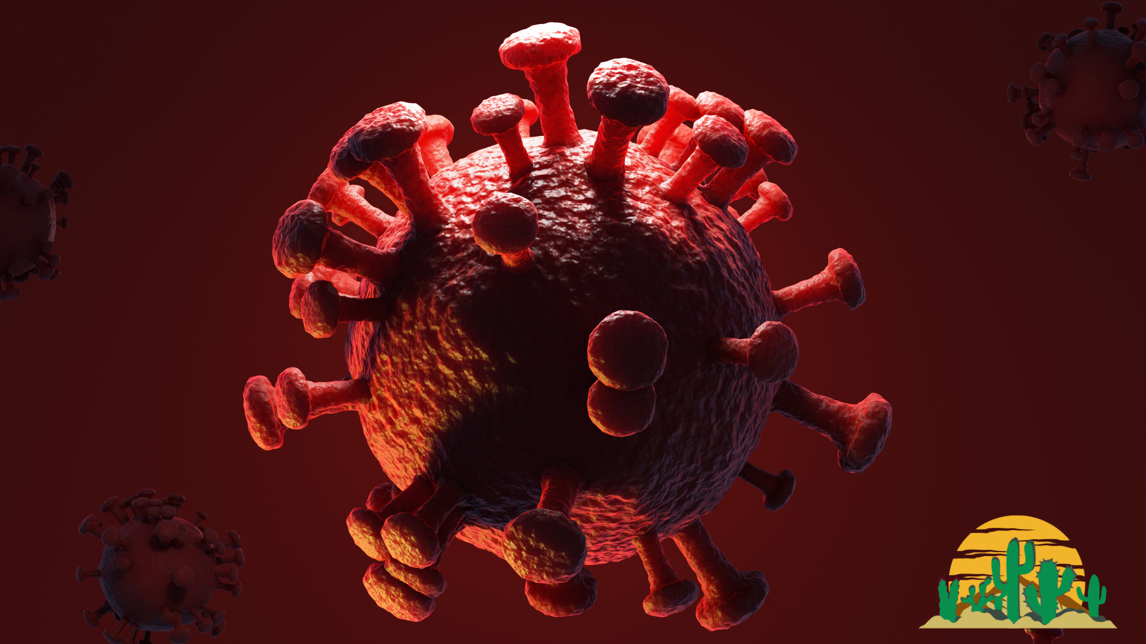 BLOG 22 — The Gut–Autoimmune Connection: Why Your Immune System Is Misfiring