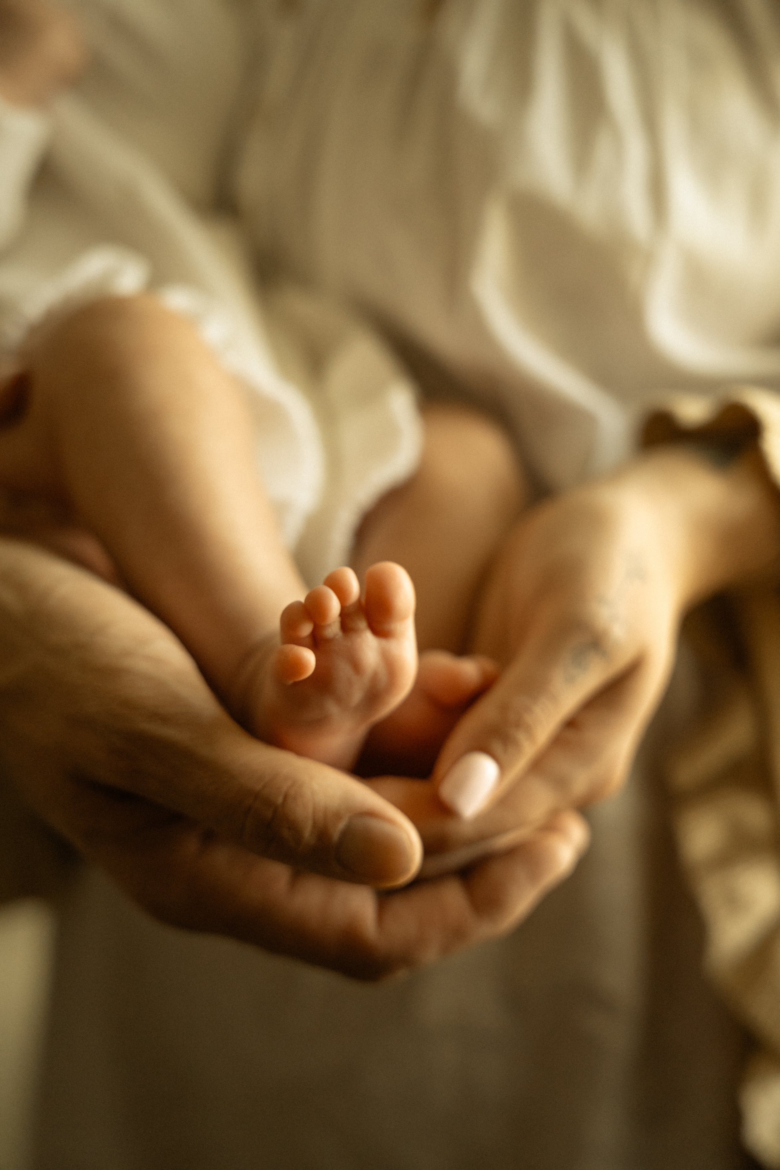Close-up of an adult's hand gently holding a tiny baby's foot.
