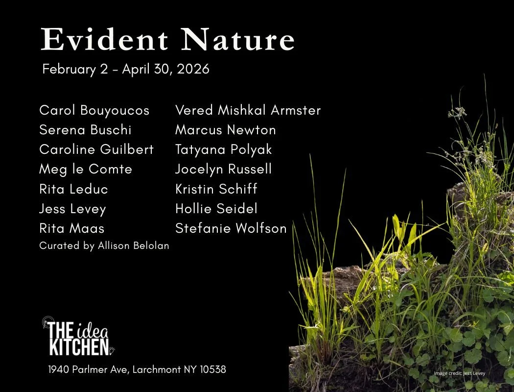 Evident Nature exhibition announcement featuring illuminated marsh grasses and plants against a black background, with artist names and exhibition details in white text.