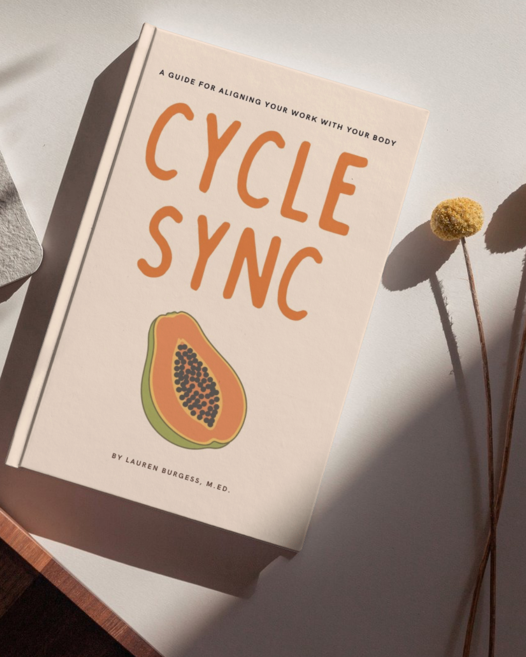 Cycle Sync Ebook Photo.png