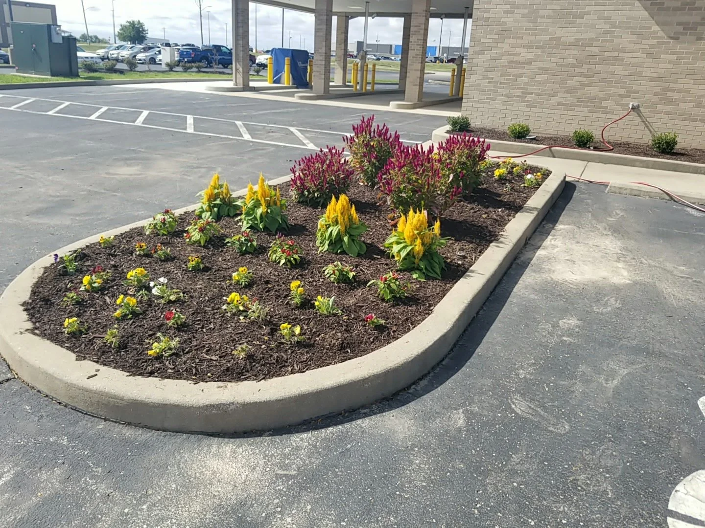 20191003_114052.jpg