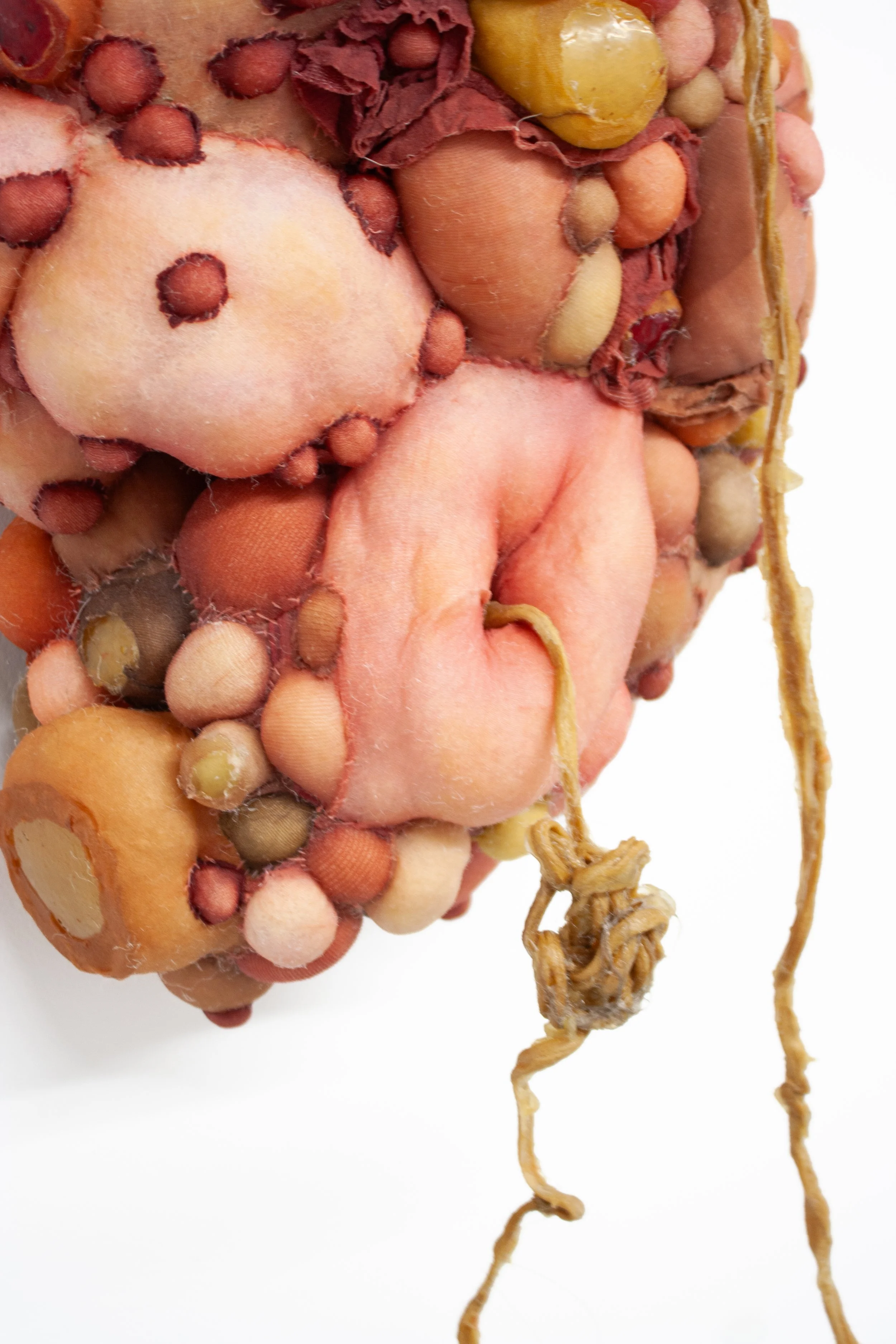 Isabella Covert_Progeny Tangle, Nylon, latex, 2026_2.jpg