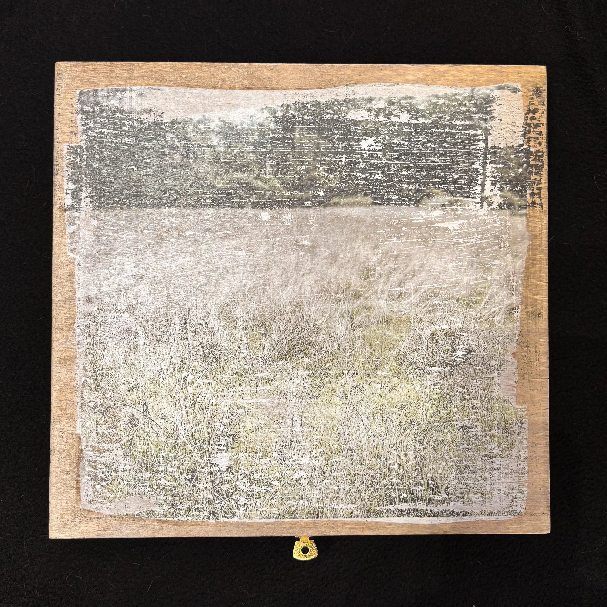 Jenny Abramson, The Bells, Mixed Media (photography in music box enclosure), 8.5 x 8.5 x 1.75 inches, 2025, $500