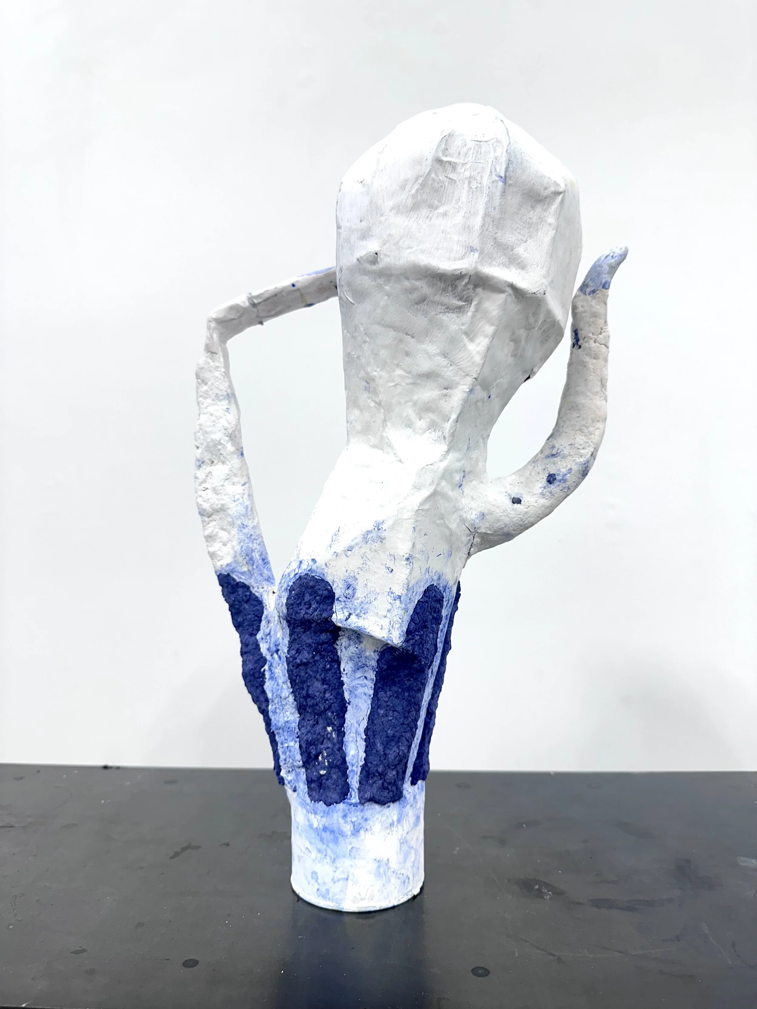 Wren Ross, Vessel 12