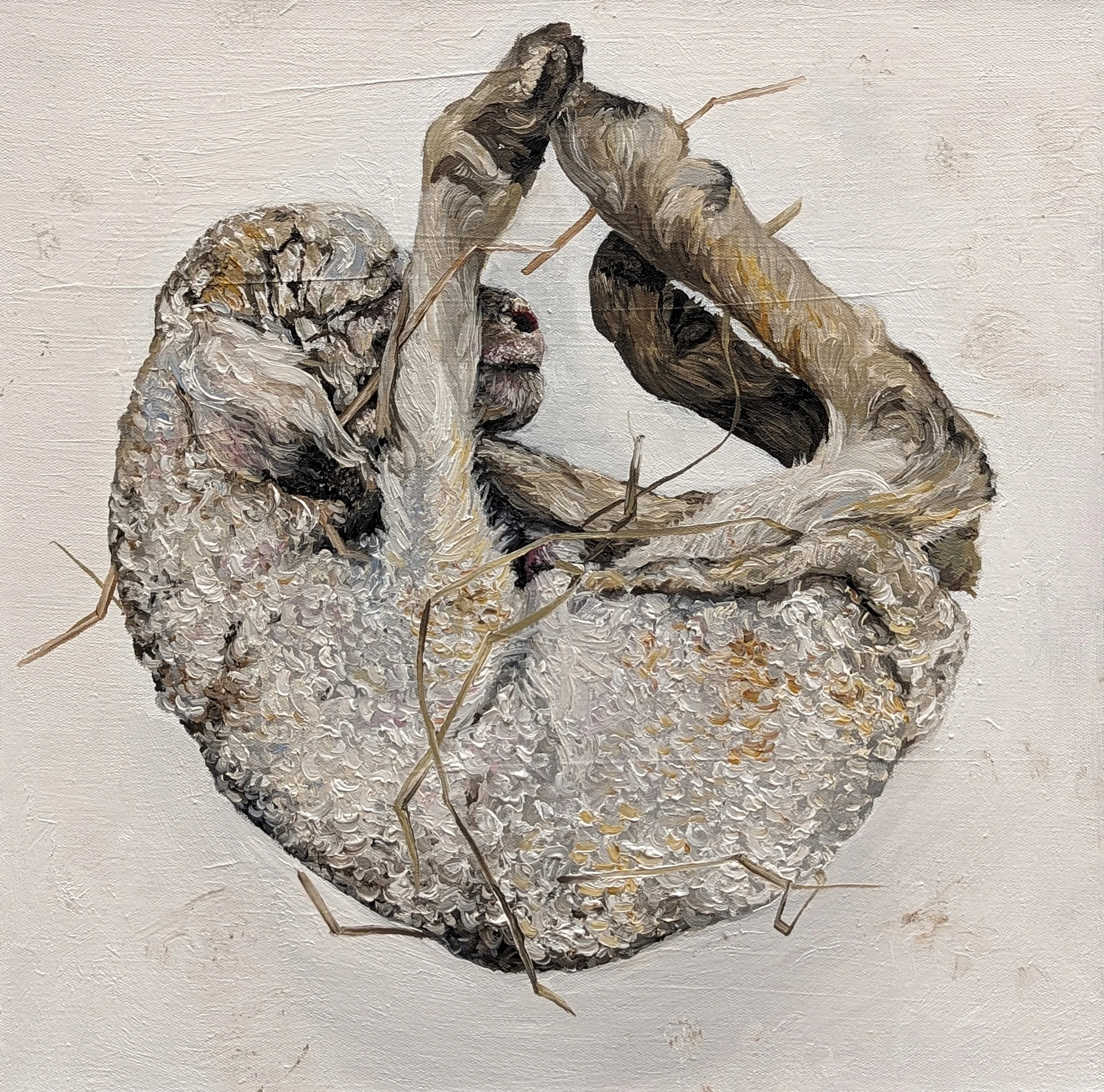Zoe Nicole Nielsen, Stillborn Lamb with Straw and Yellow Meconium, Oil on canvas, 2024, NFS