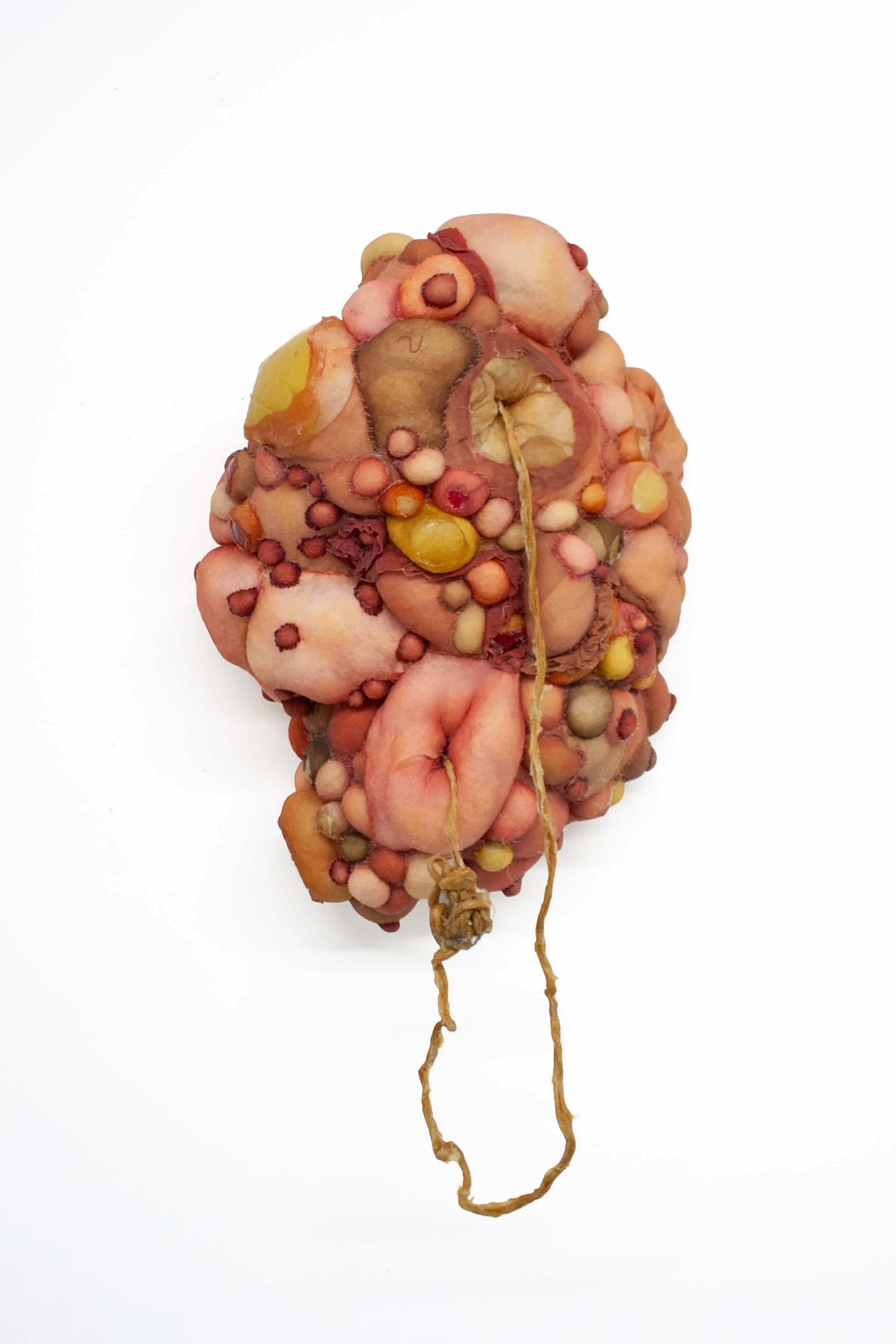 Isabella Covert, Progeny Tangle, Nylon, latex, 12 x 6.5 x 25 inches, 2026, $850