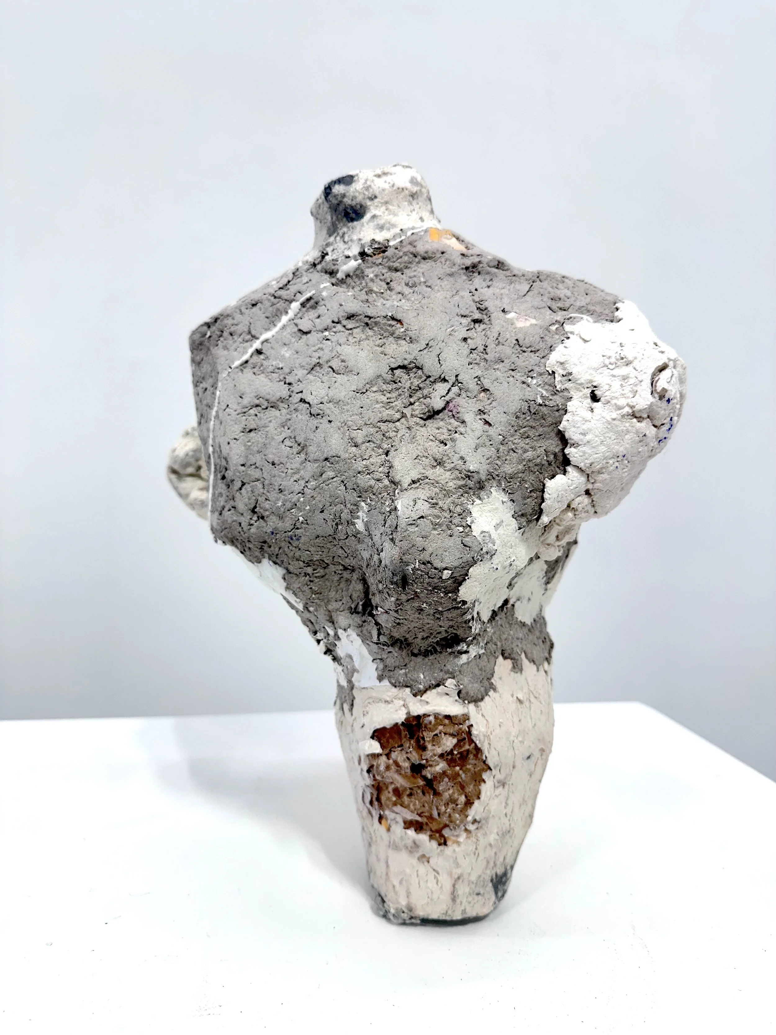 Wren Ross, Vessel 10