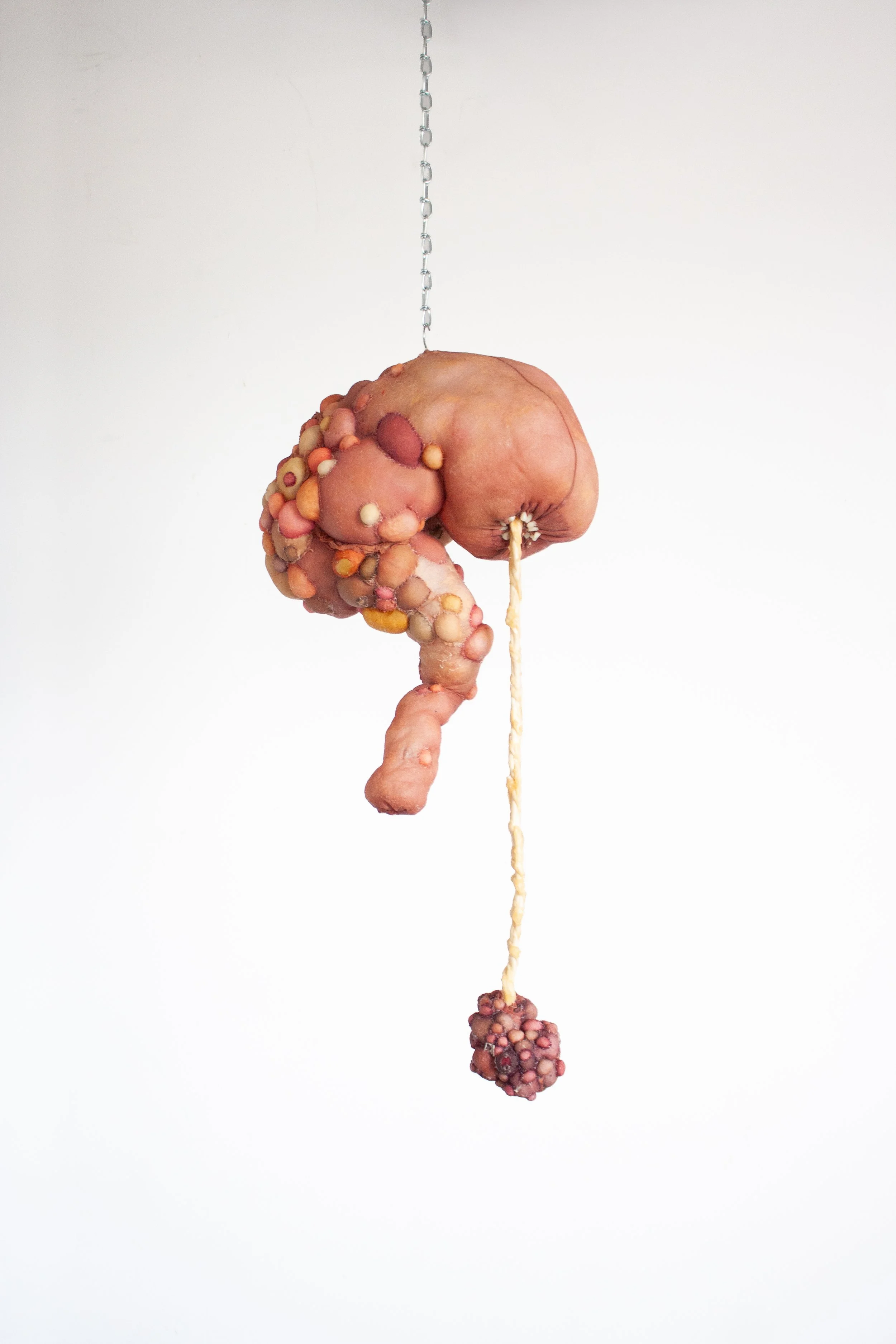 Isabella Covert, Fictive Kin / Symbiotic Attachment, Nylon, latex, resin teeth, 14 x 10 x 32 inches, 2026, $1500