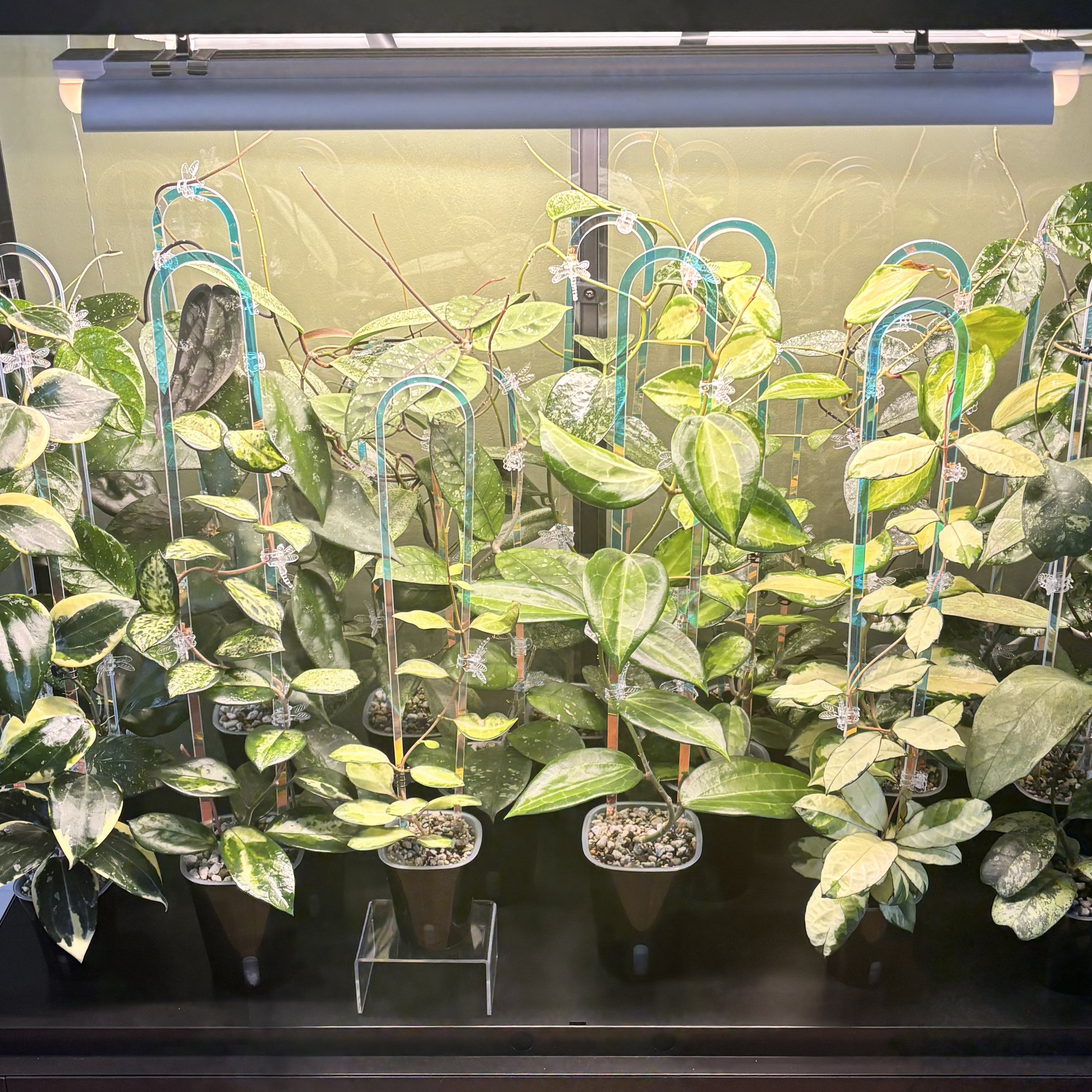 IKEA Milsbo Wide Cabinet Tour