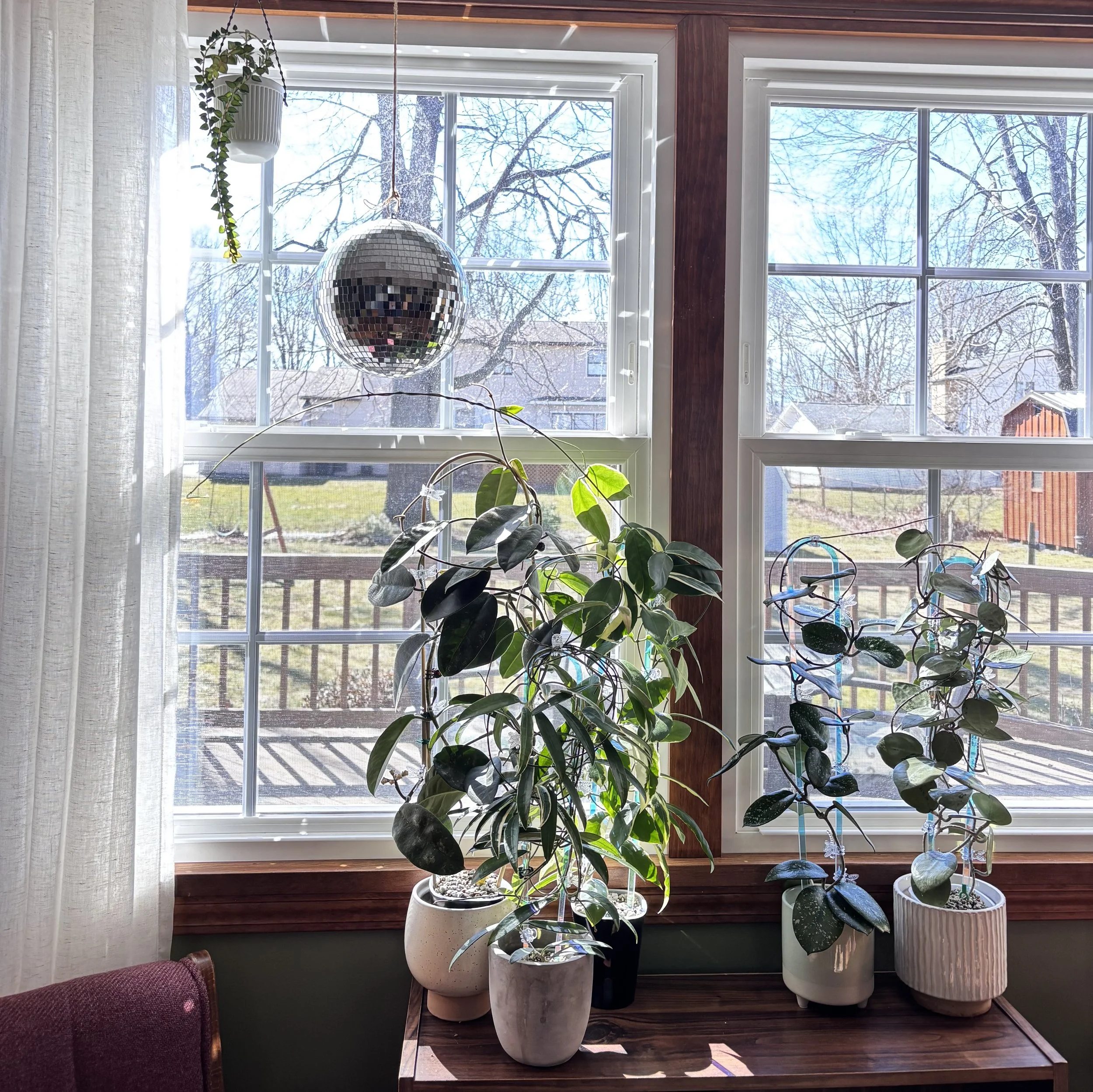 Living Room Ambience Hoya Tour