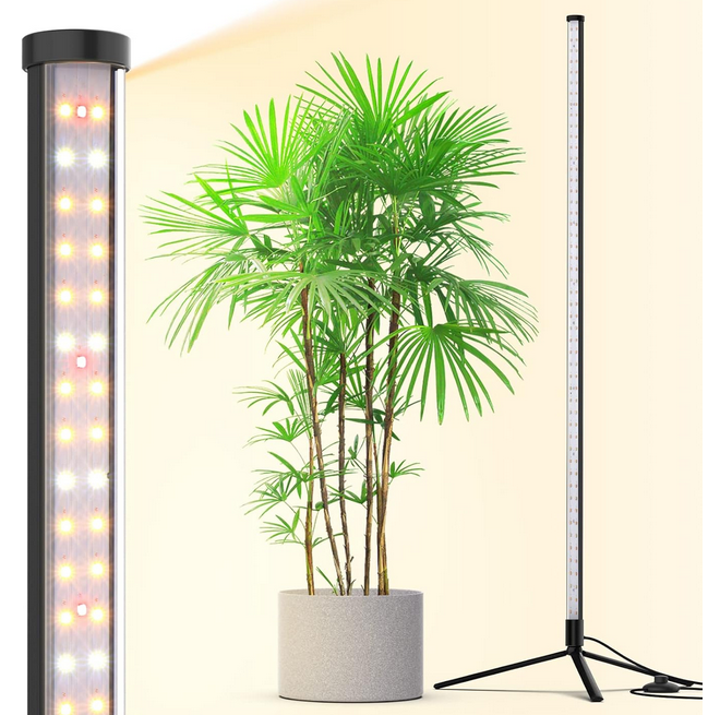 Screenshot 2026-03-21 224637.png