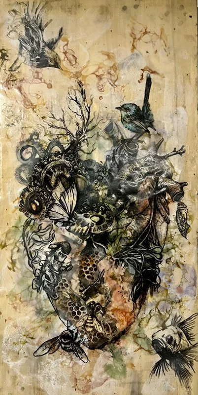 Animalia, Kingdom of