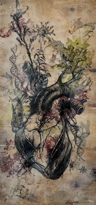 Protista, Kingdom of
