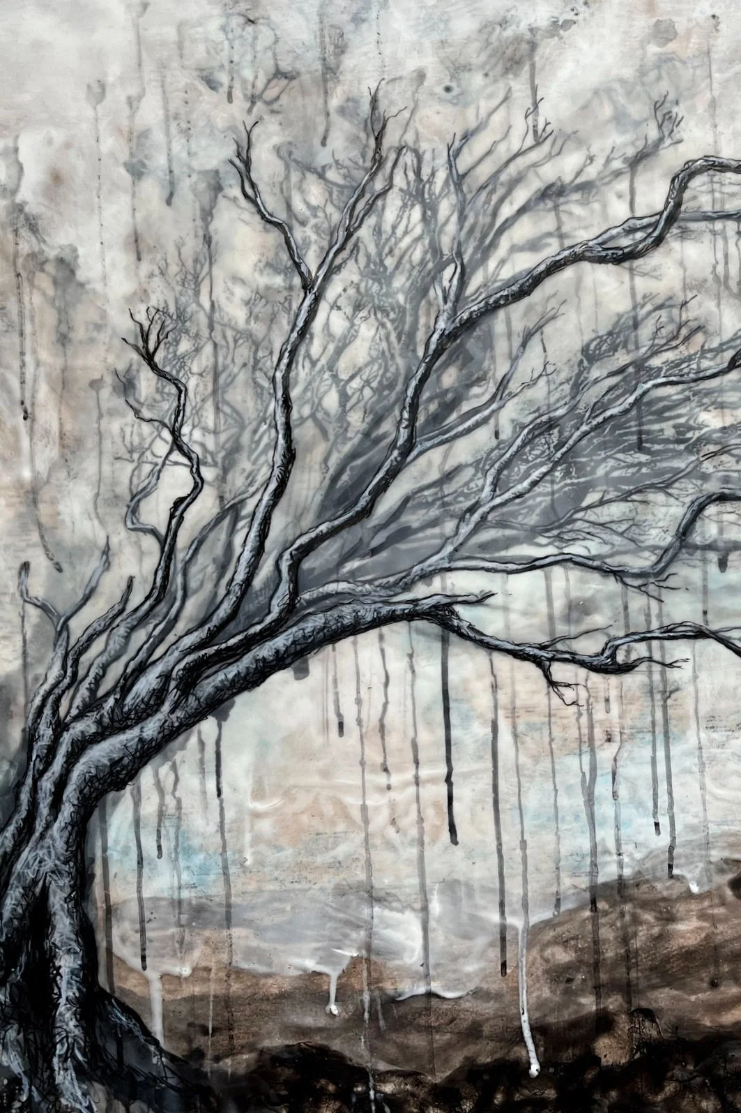 Landscapes
