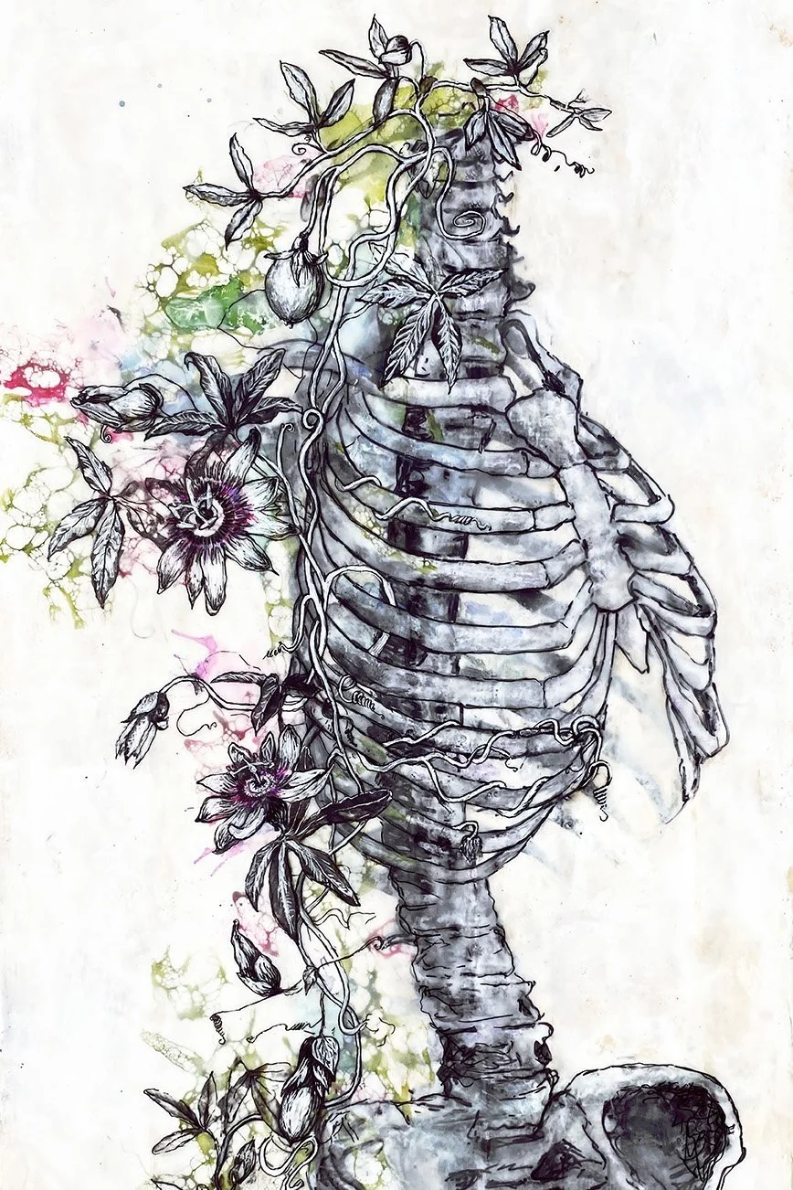 Anatomy