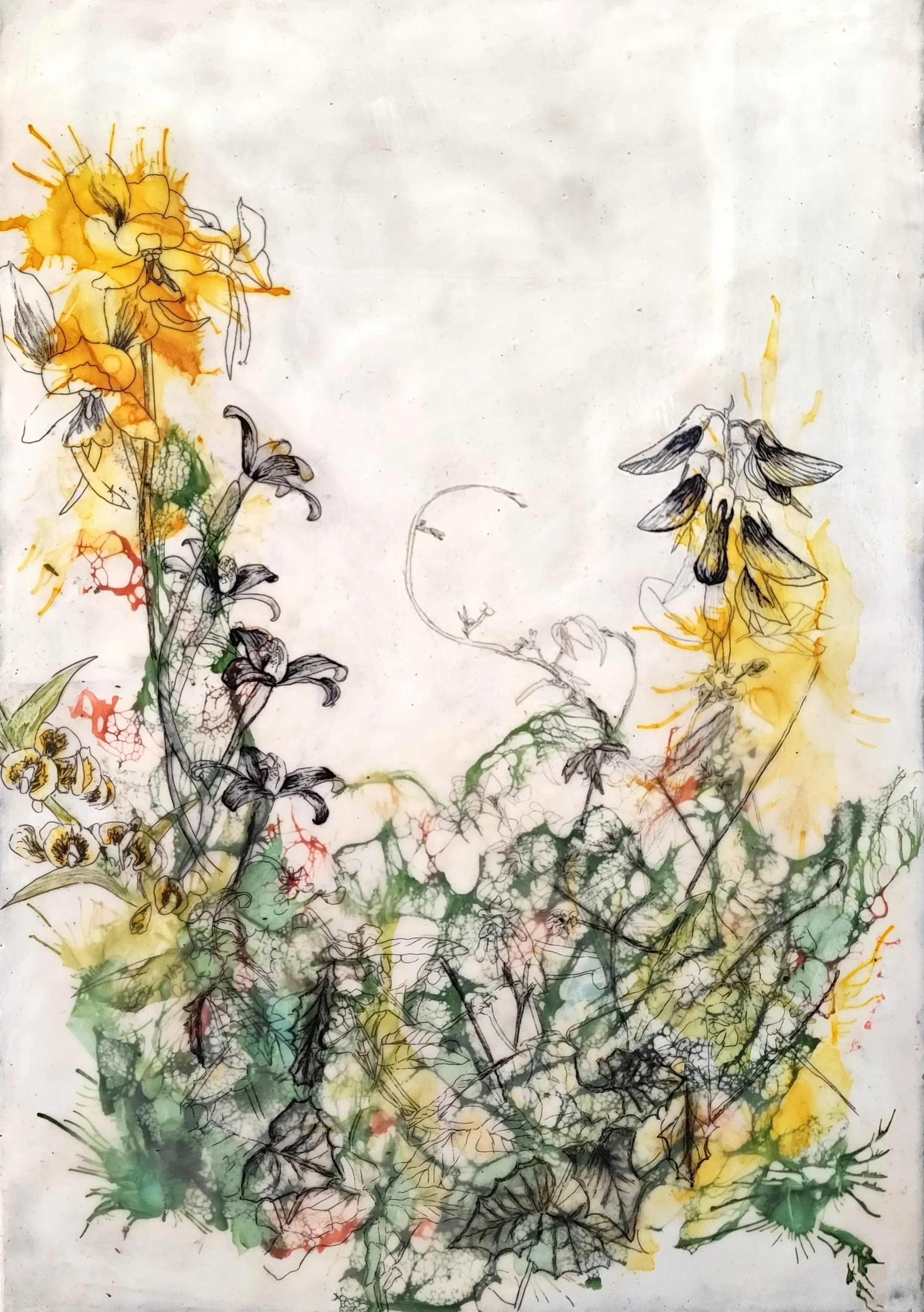 Wildflowers by my mailbox Melissa De Winter.jpg