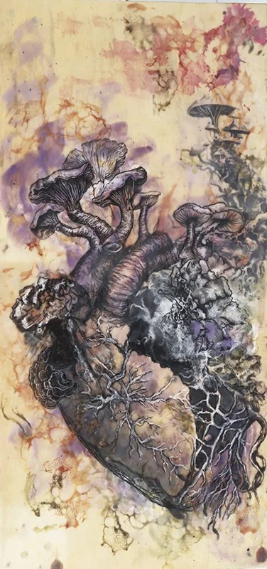 Fungi, Kingdom of