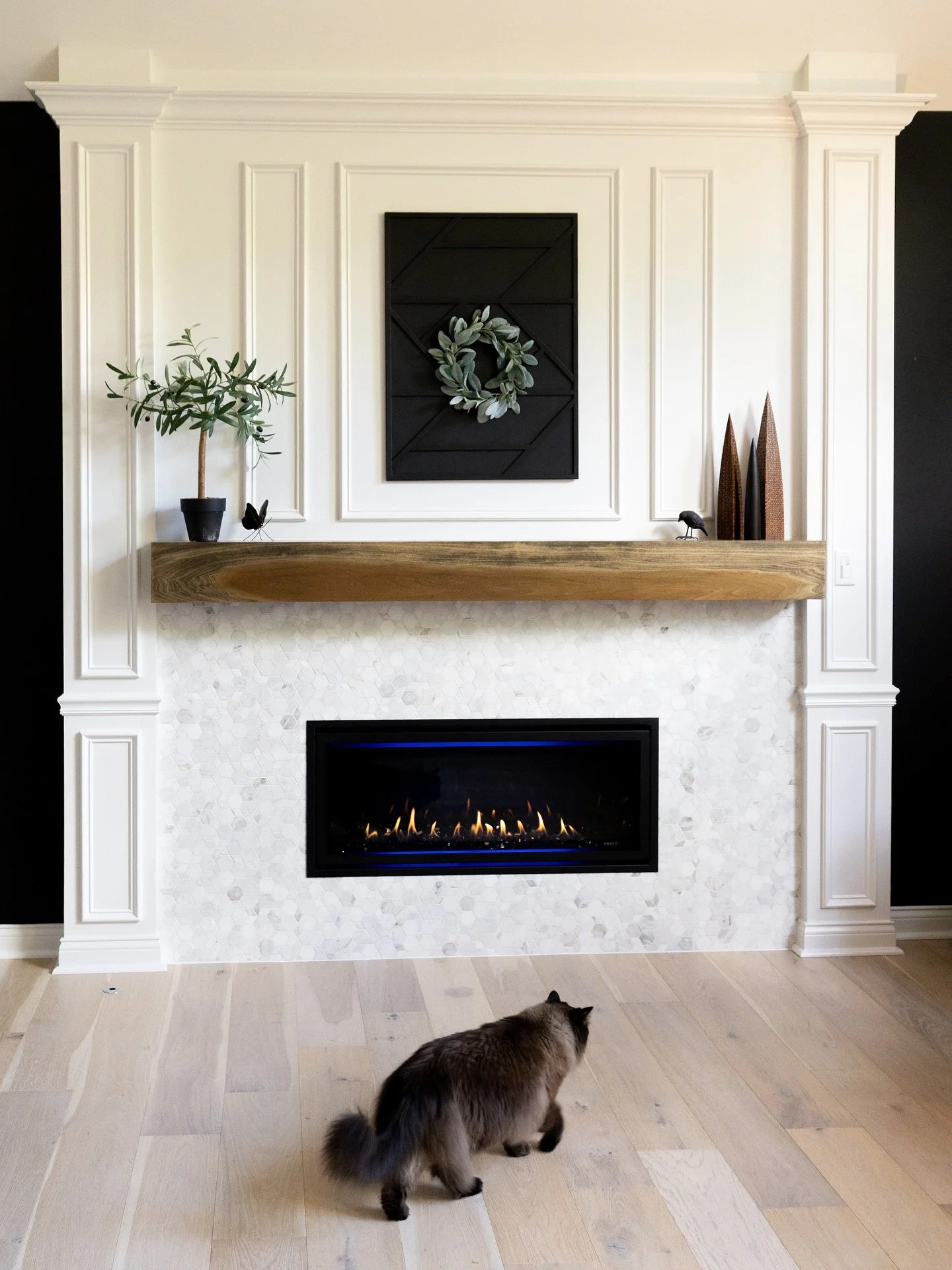 Made a new friend photographing this custom fireplace for @everythinghomedesigns 🔥🔥🔥

#indianadesignphotographer #interiordesignphotography #indianainteriordesigner #indyphotographer