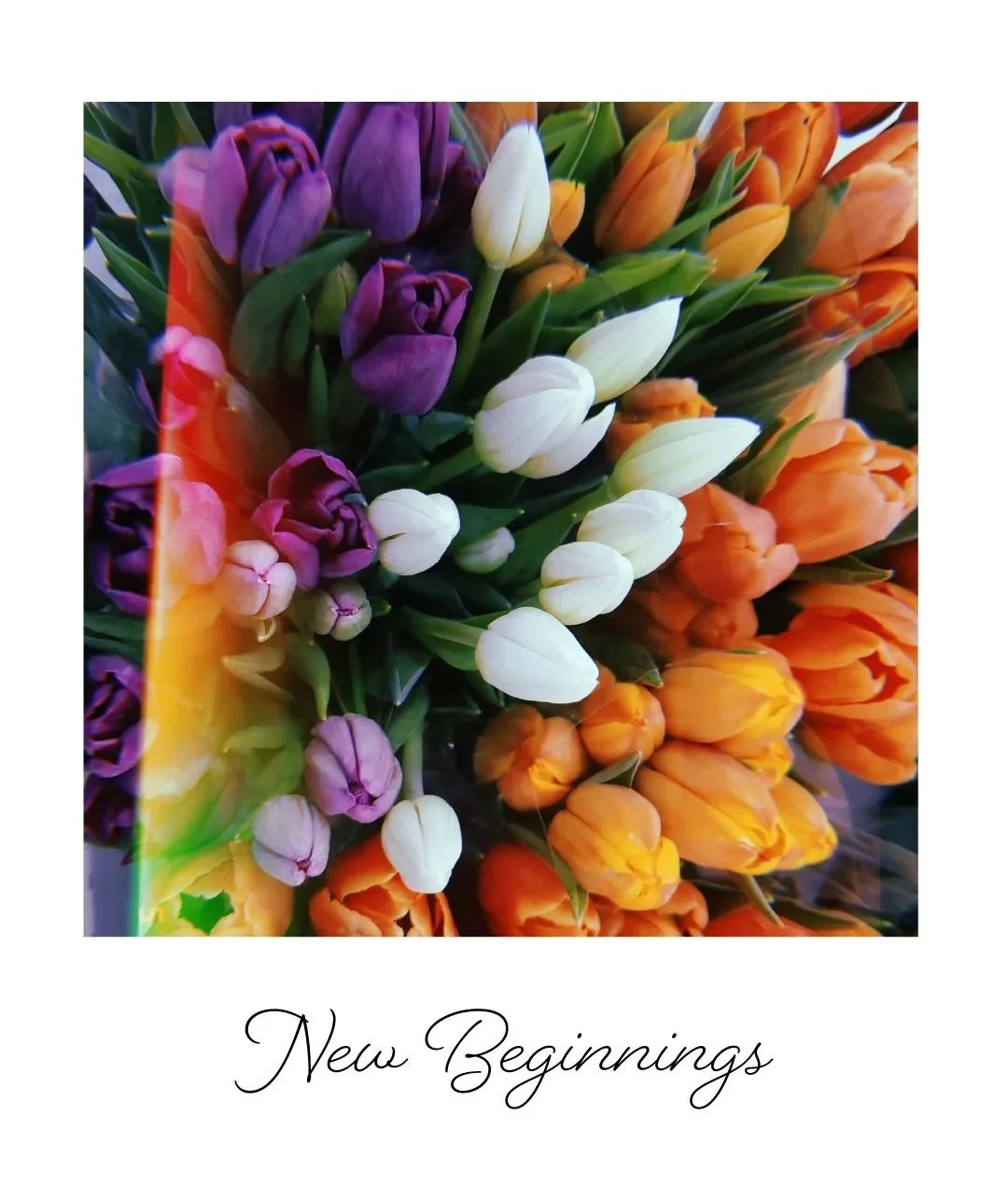 🚨 Episode 2 - New Beginnings 🌷 is LIVE on the blog! New Beginnings can be quite overwhelming 🥴 and May had a lot of them in store for me. In this new blog post, I share some ways I deal with handling change. 💪🏻

Give it a read and let me know wh