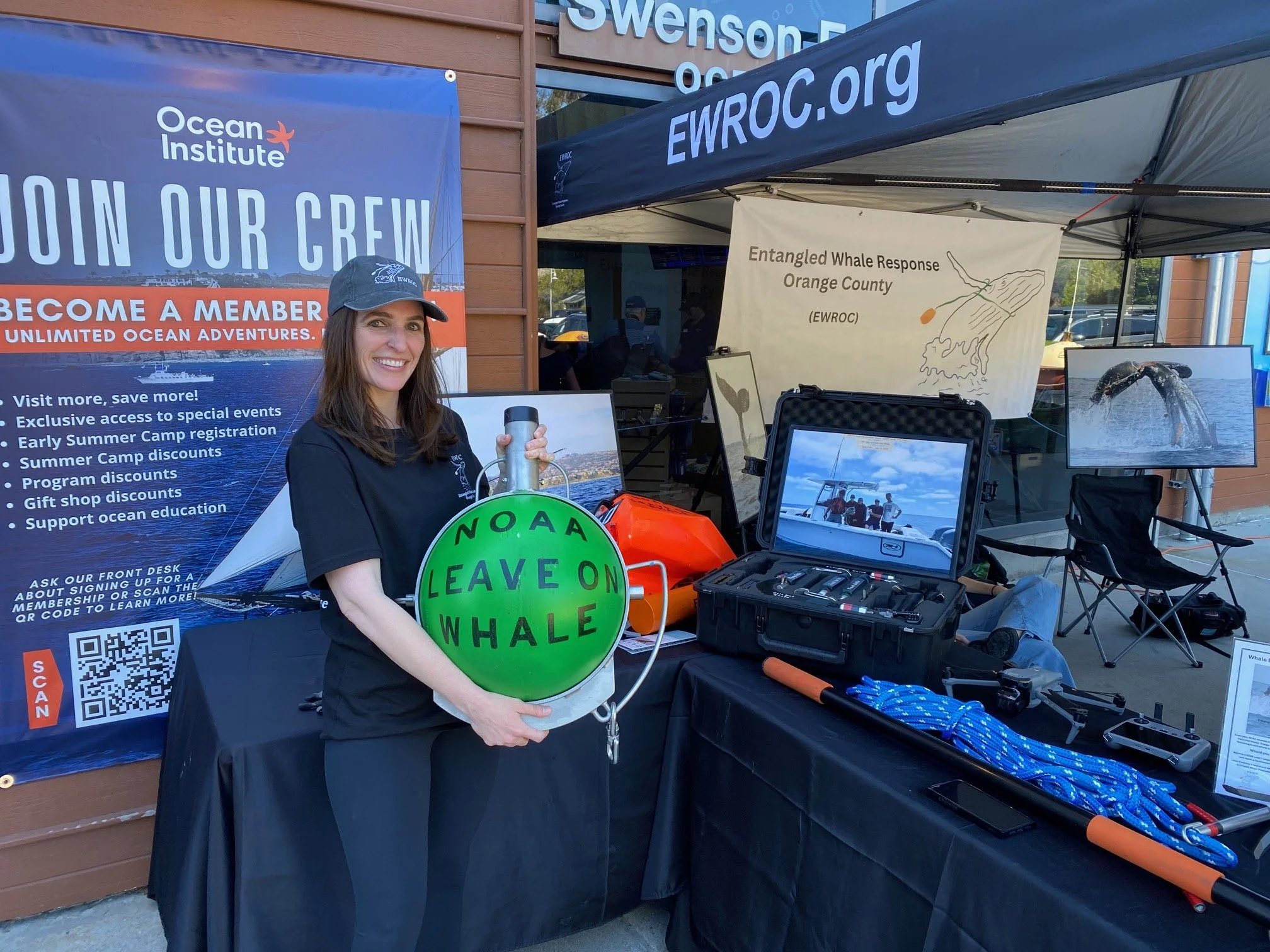 Festival of Whales 2026