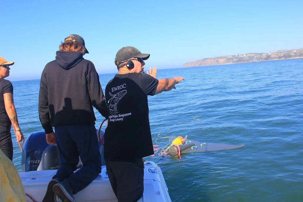 On water training 4.12.2026