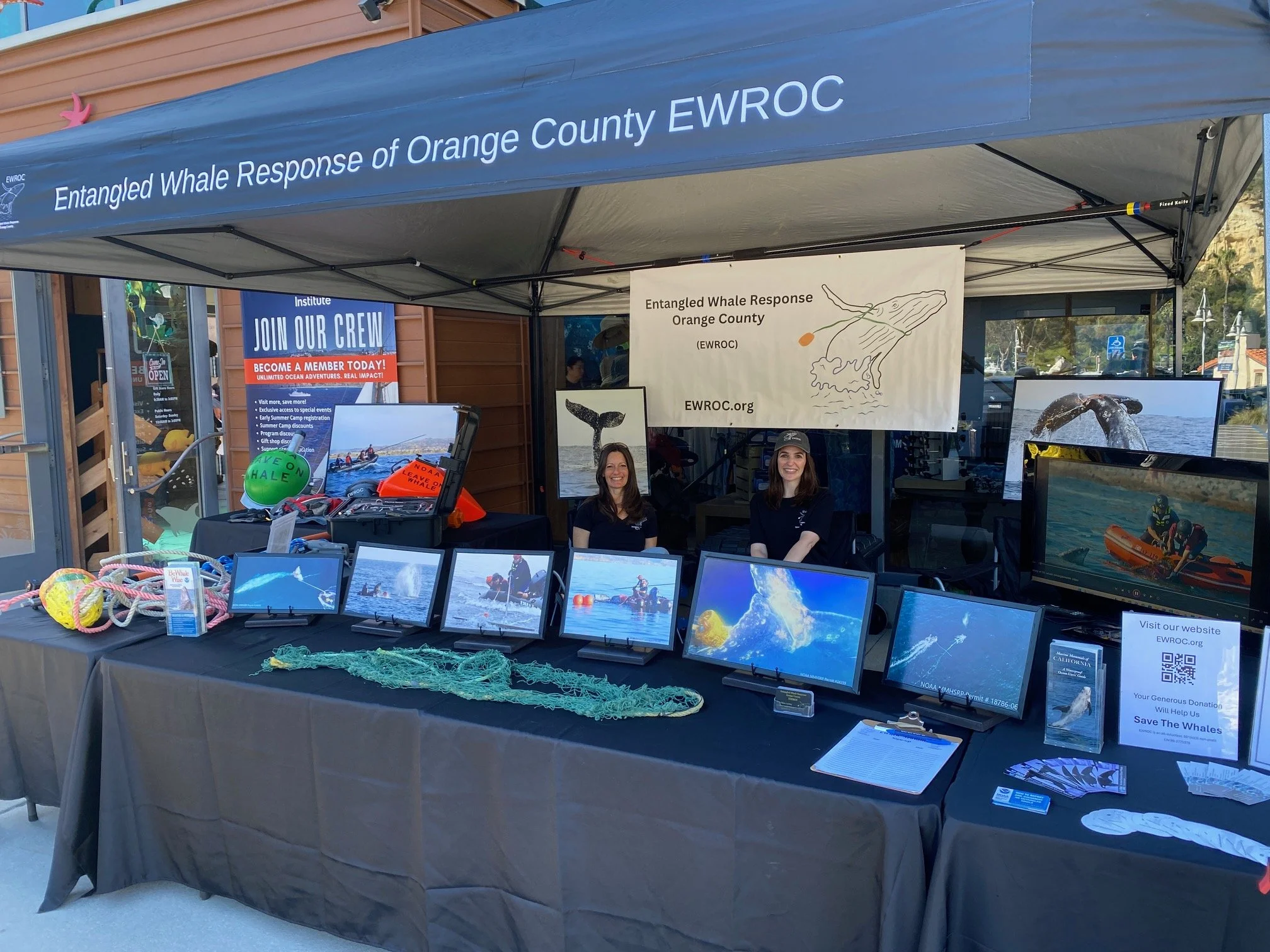 Festival of Whales 2026