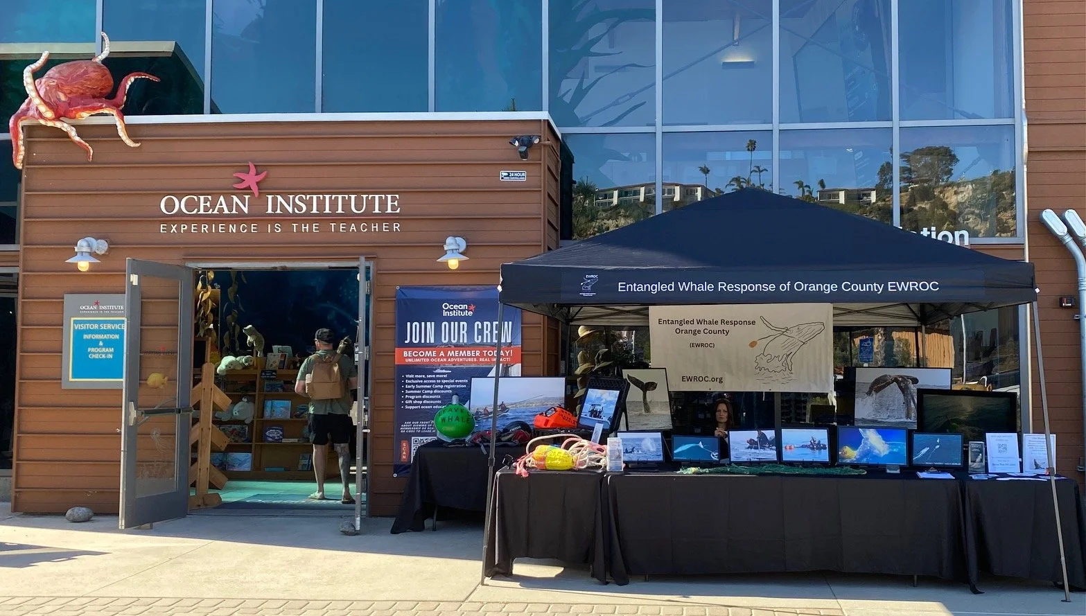 Festival of Whales 2026