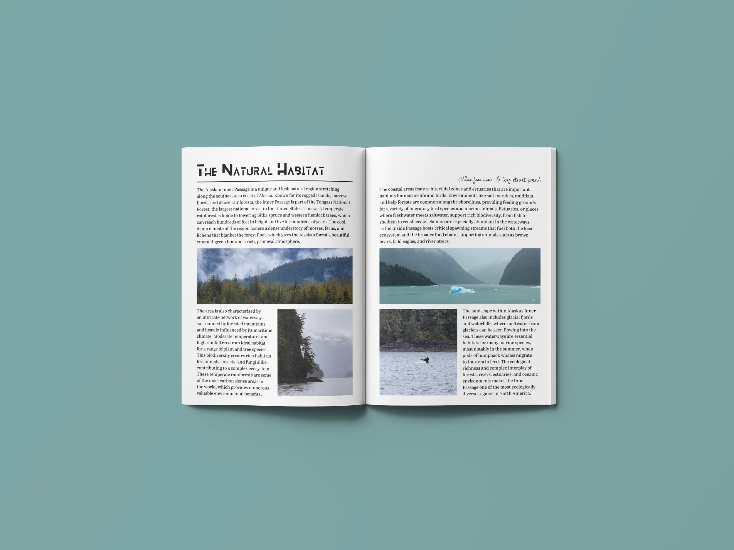 Publication Inner Pages - 3.jpg