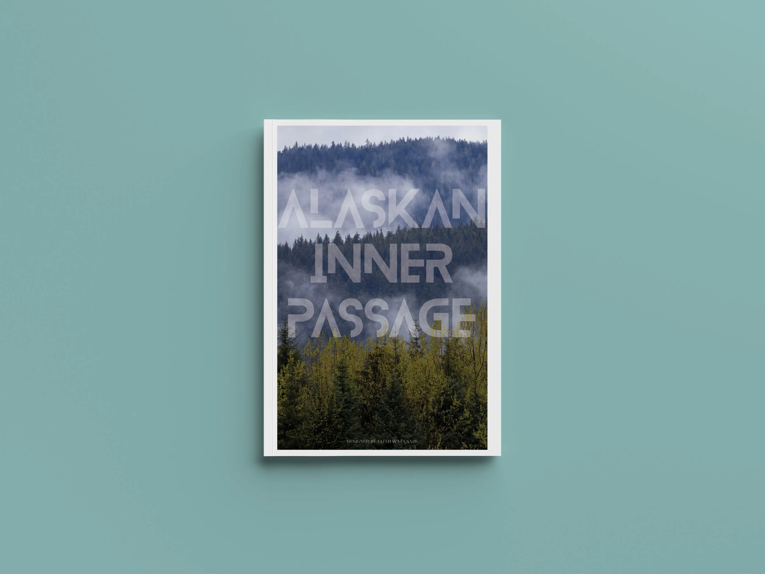 Publication Cover.jpg
