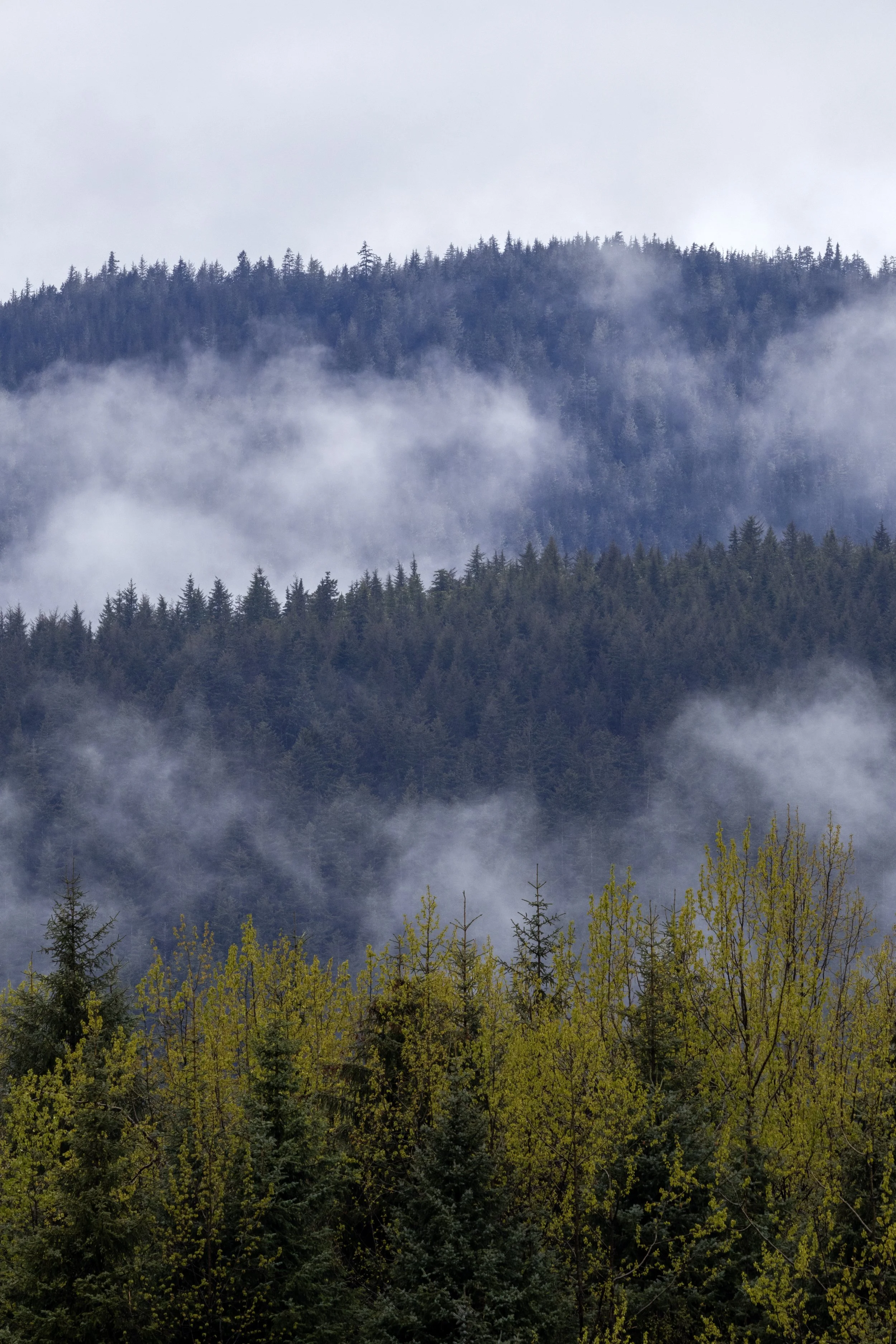 _MG_7739.jpg
