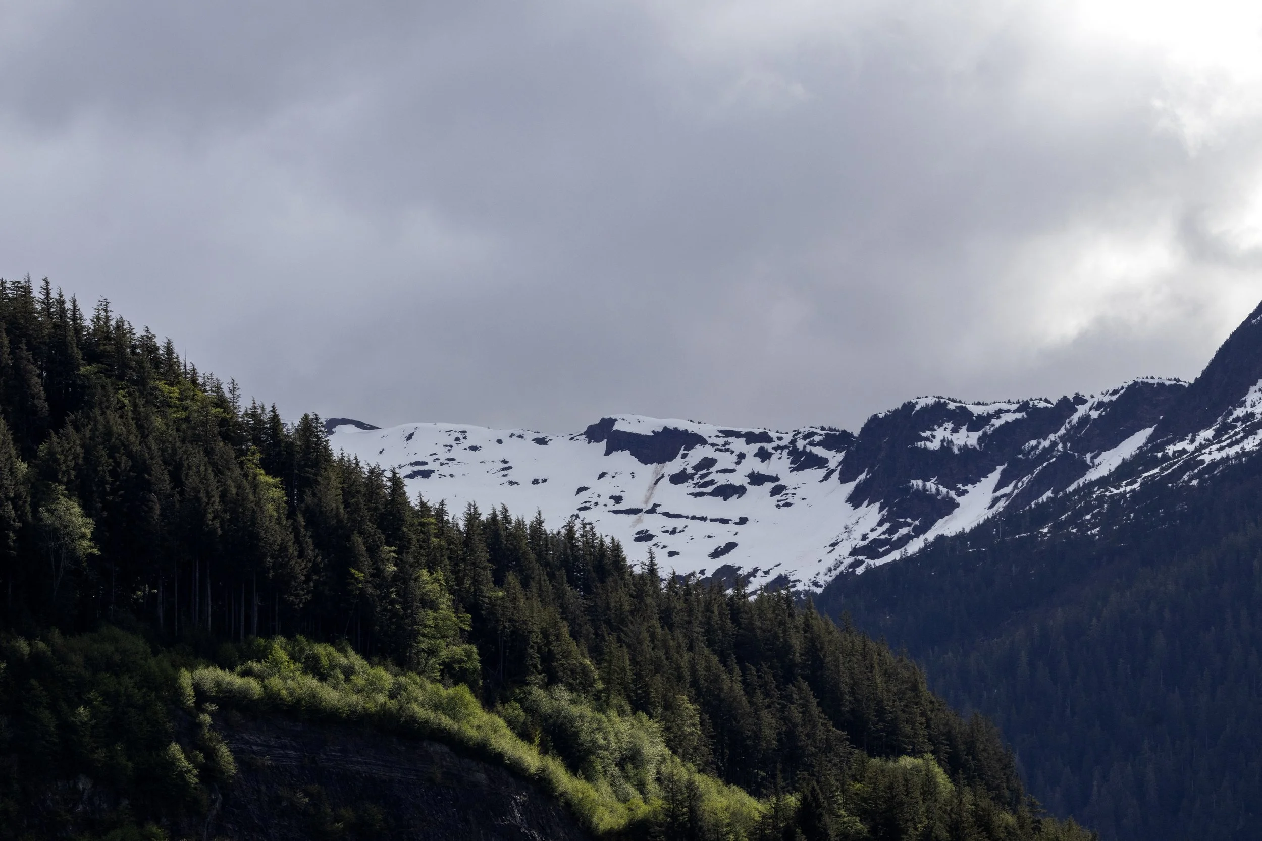 _MG_8357.jpg