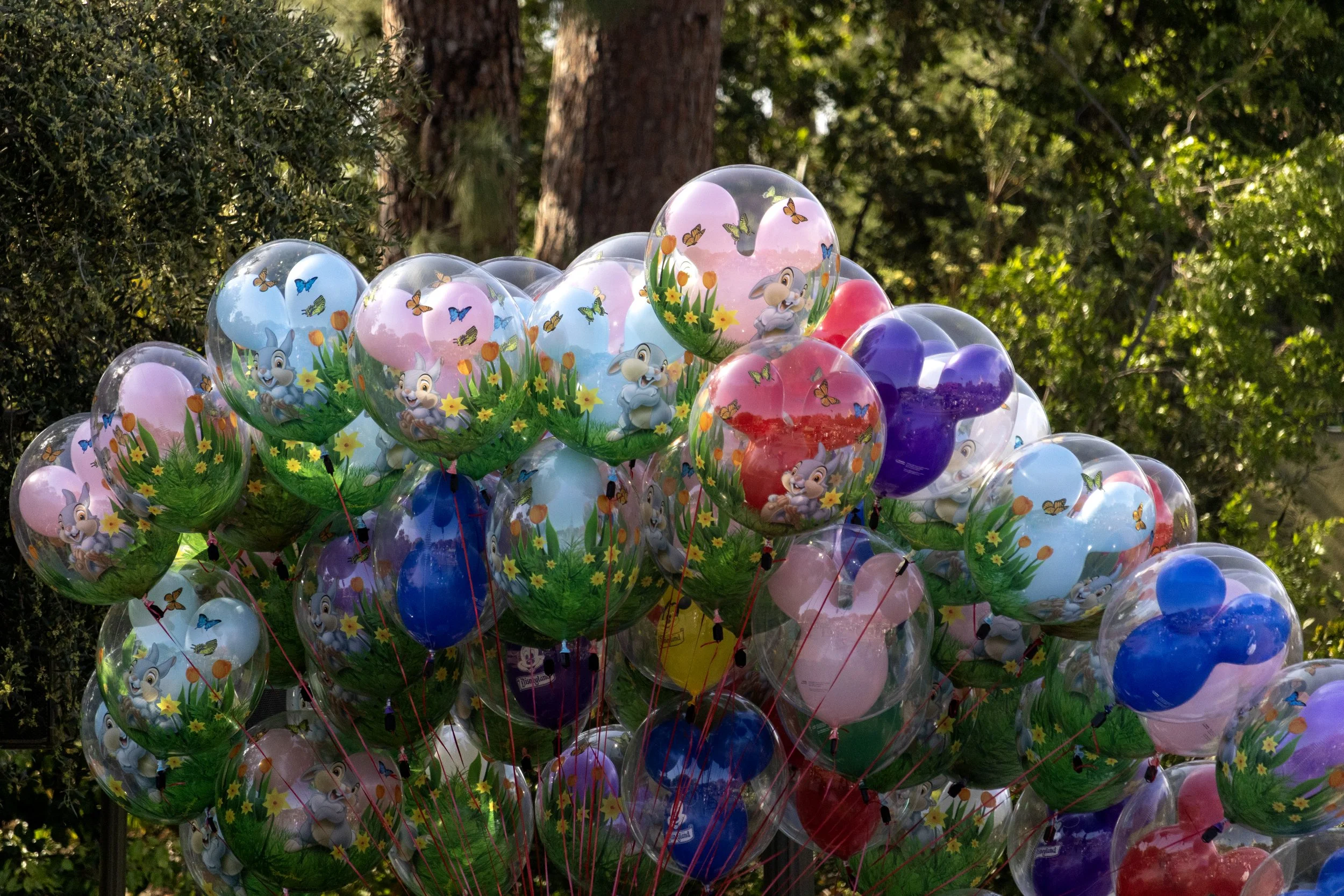 Disney Balloons.jpg