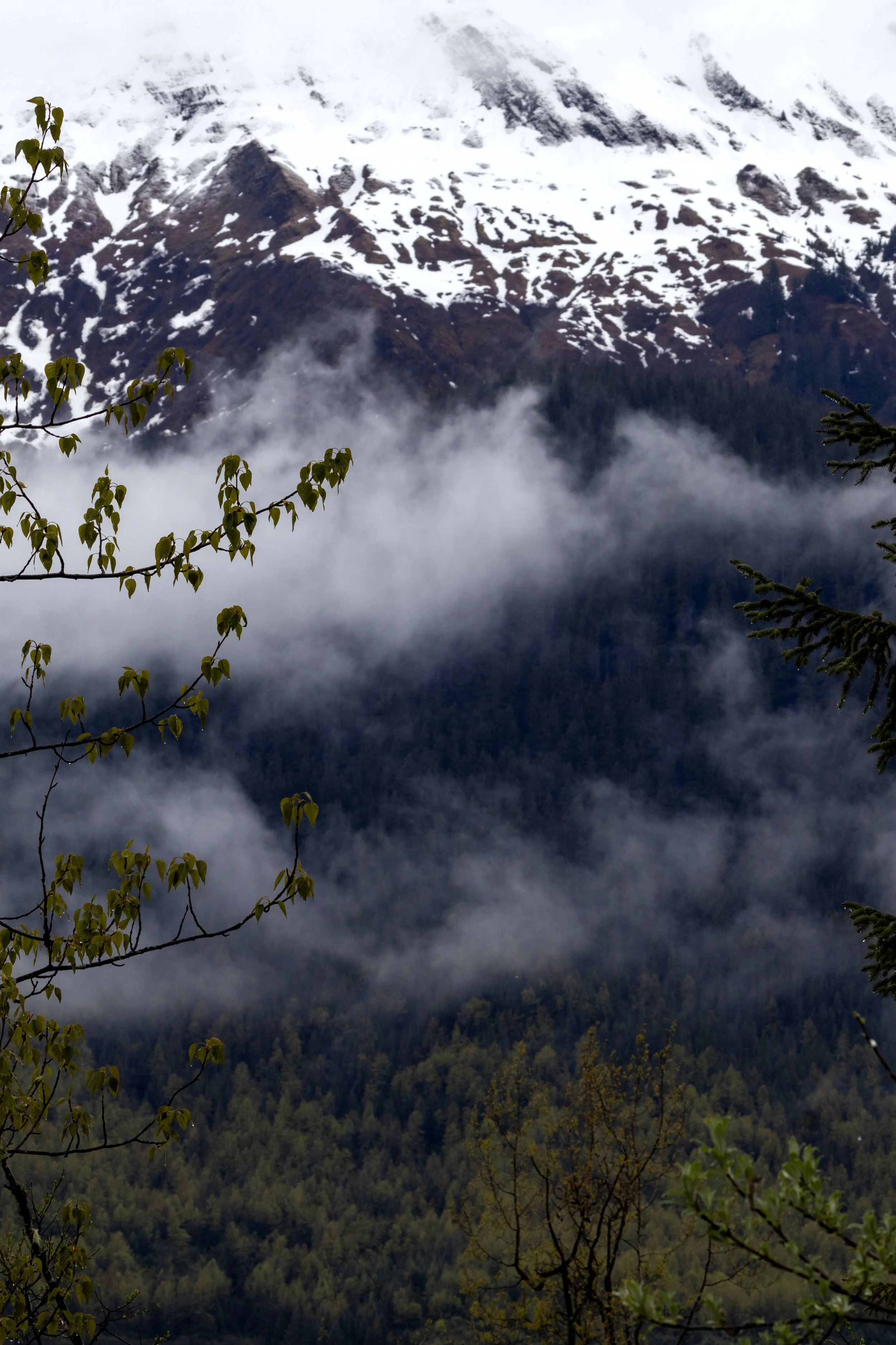 _MG_7747.jpg