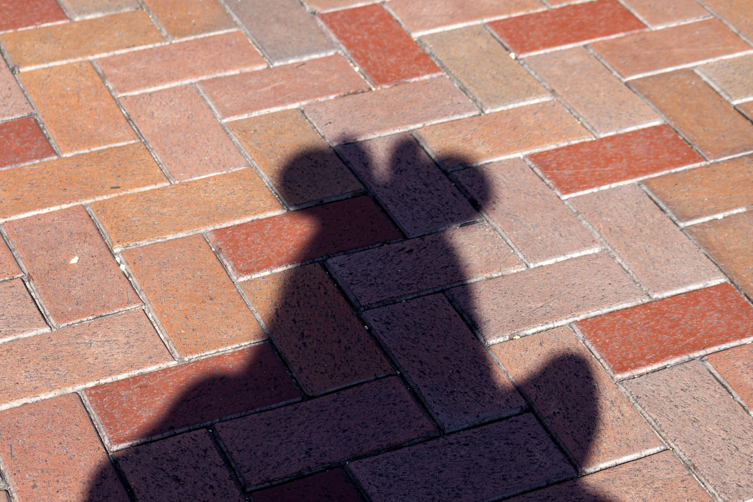 Disney Silhouette.jpg